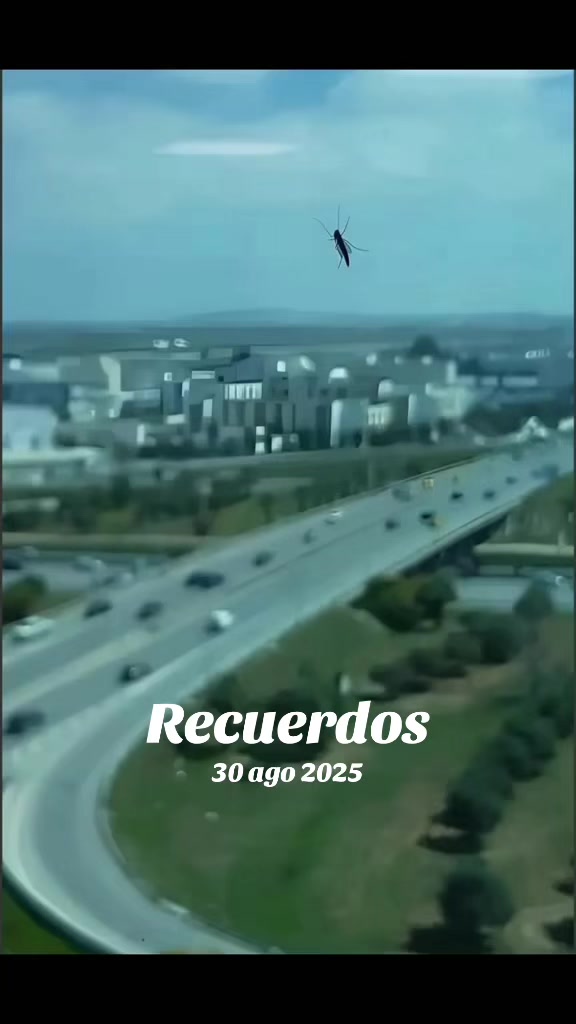 @Pablo S Treviño
