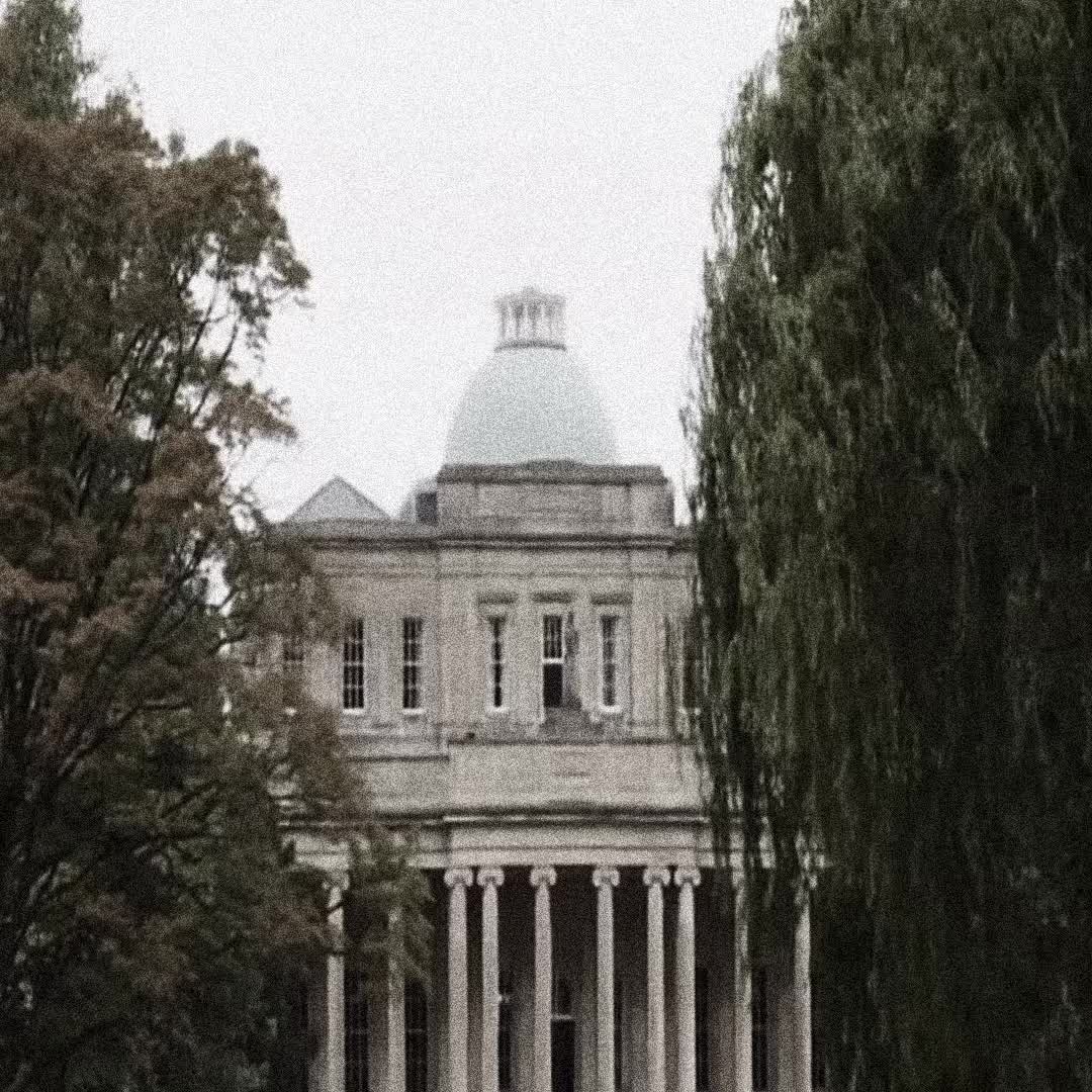 @ᶜʰᵃᵒˢ