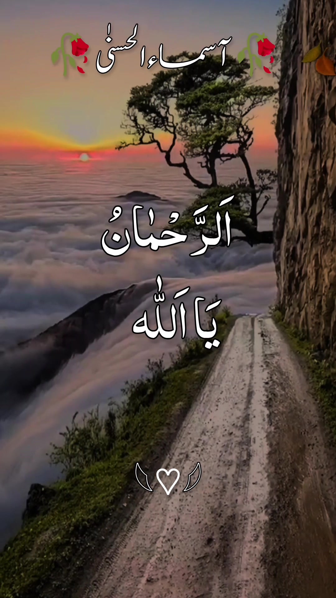 @❣️ Words of Allah ❣️