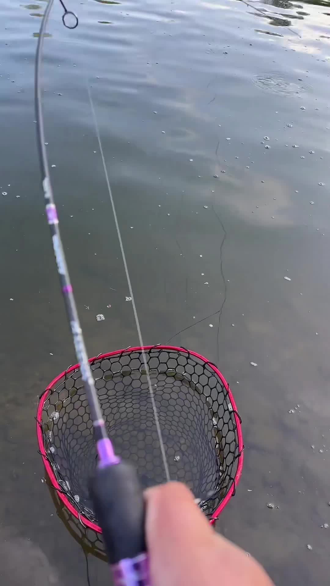 @Fishing_DP