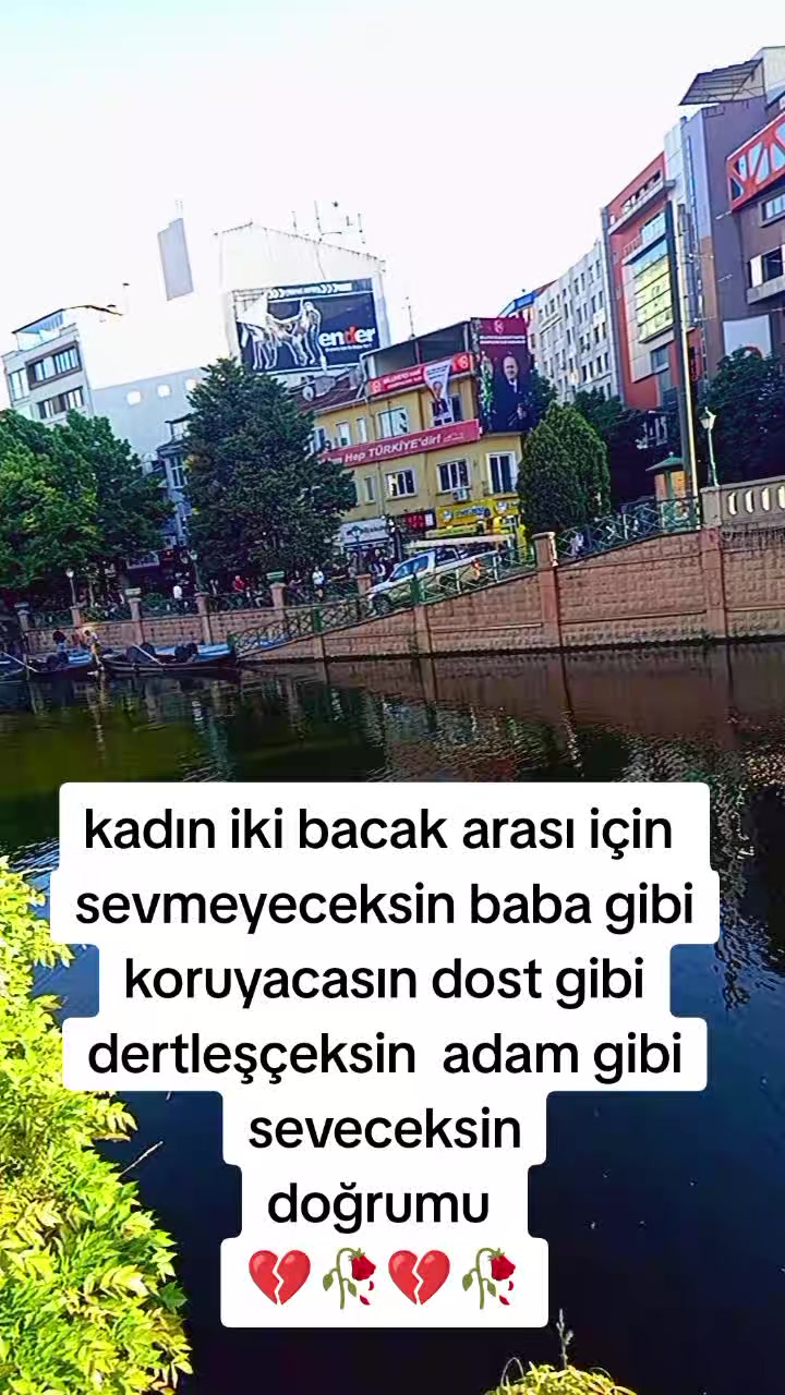 @mizgin