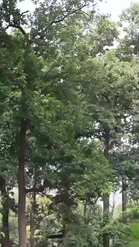 @i_ n _ d - u ✨ 🦋