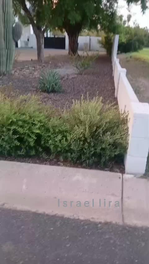 @Israel lira 🌴 24/7 🤪🤪🤪🤪🤪