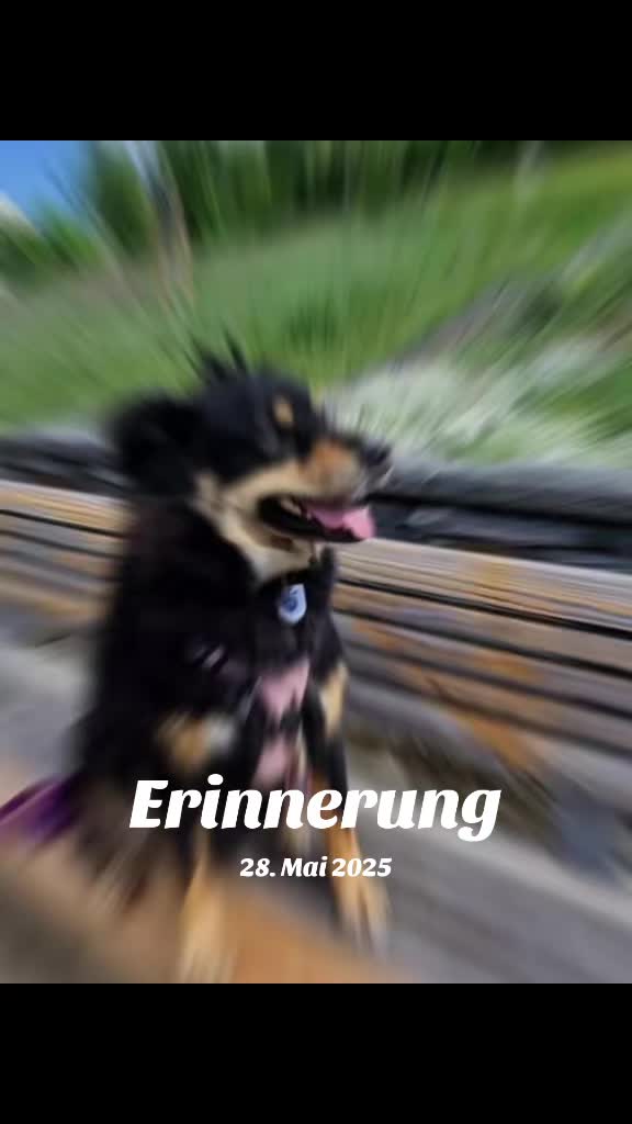 @Claire_Hund