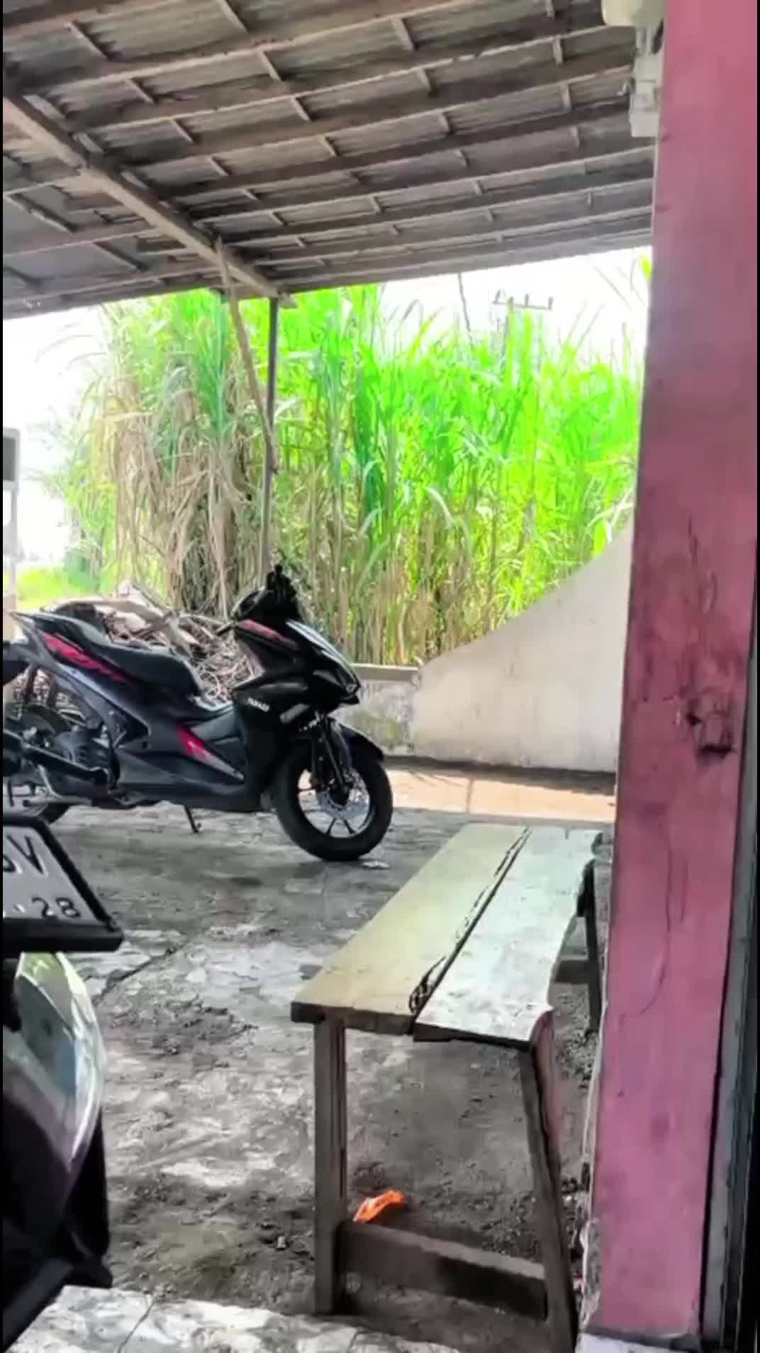 @๐
ฑ๏ธ๐๐ฃ๐๐๐ง,๐๐
ฐ๏ธ๐ข๐๐ช๐ฉ๐ข