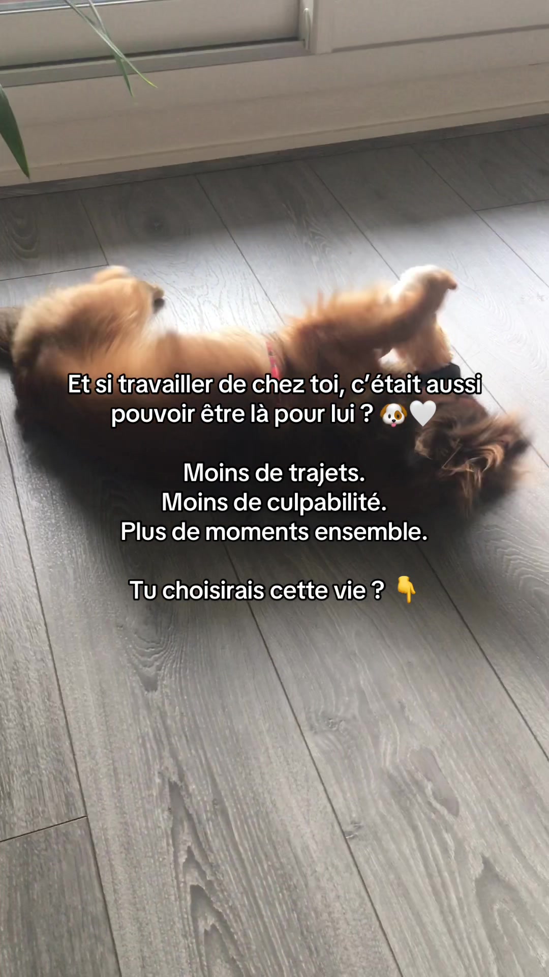@Ana&iuml;s | Business en ligne 🌸✨