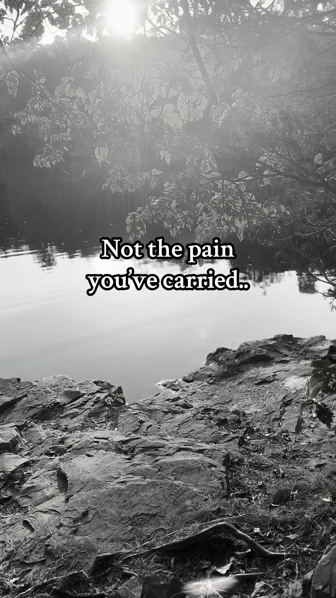 @Miggy Noyb