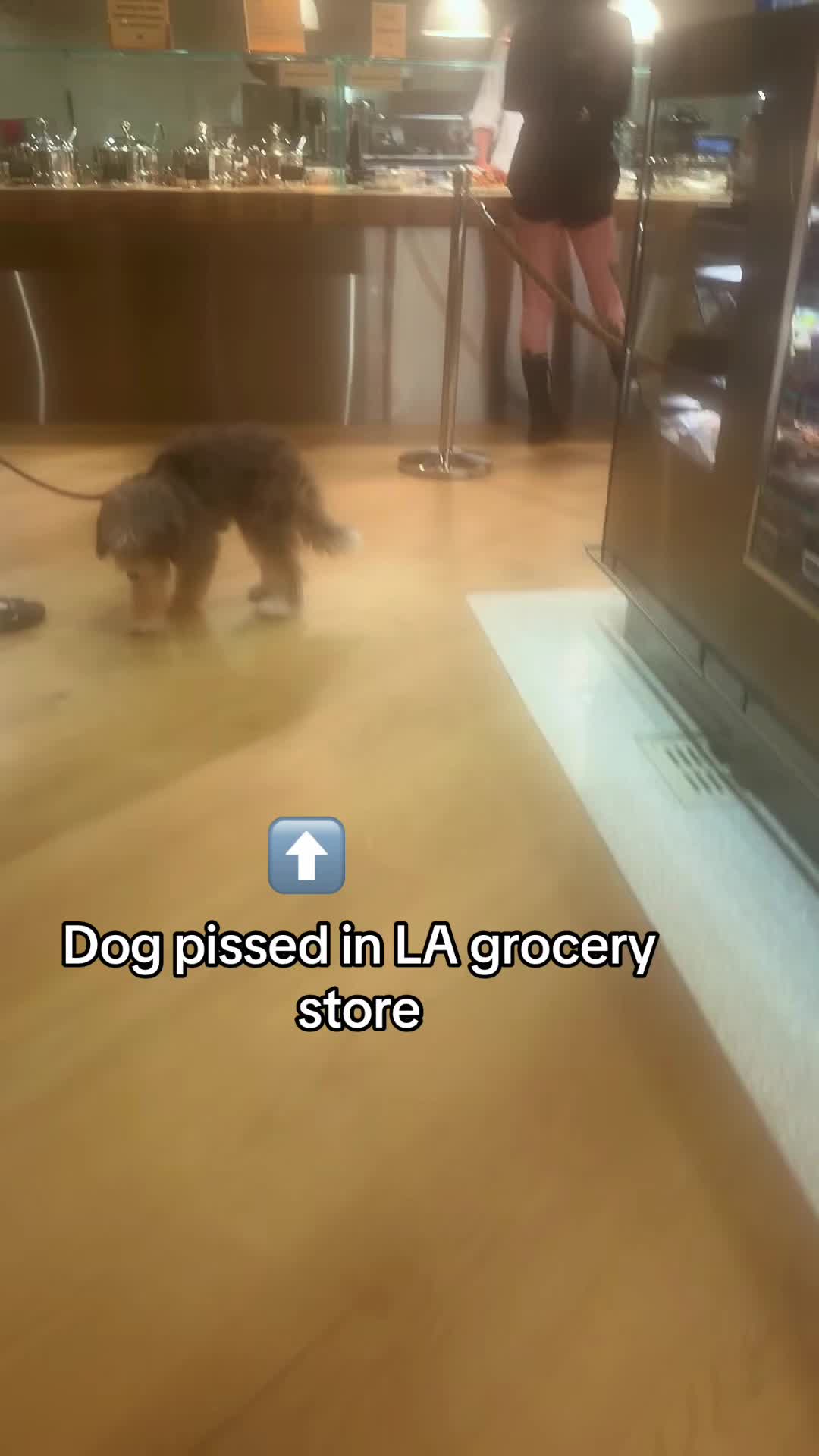 @Dogs aren’t Family