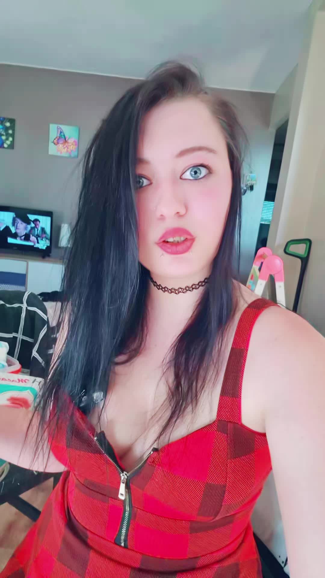 @bvb_spam