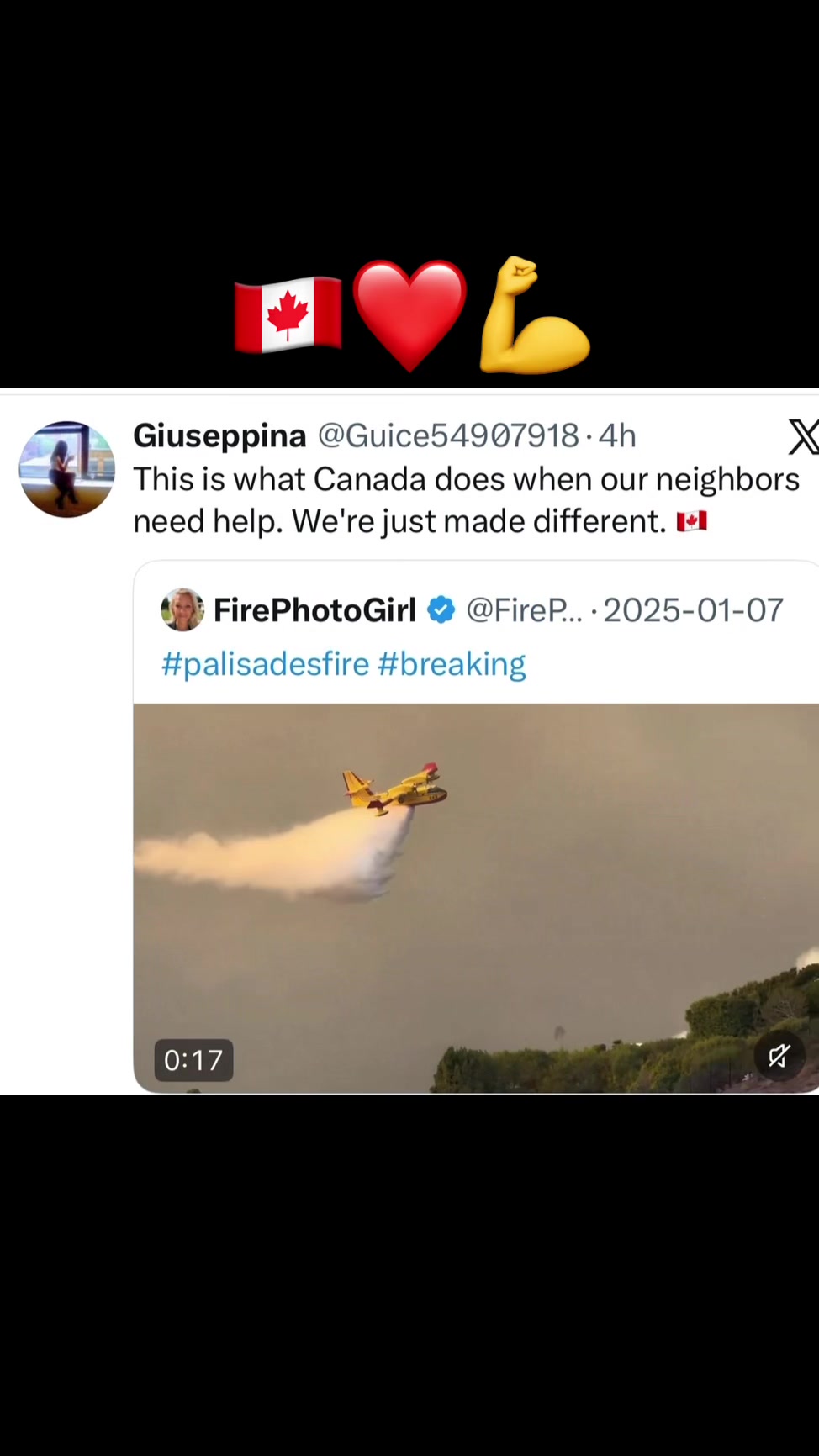 @franann61🇨🇦