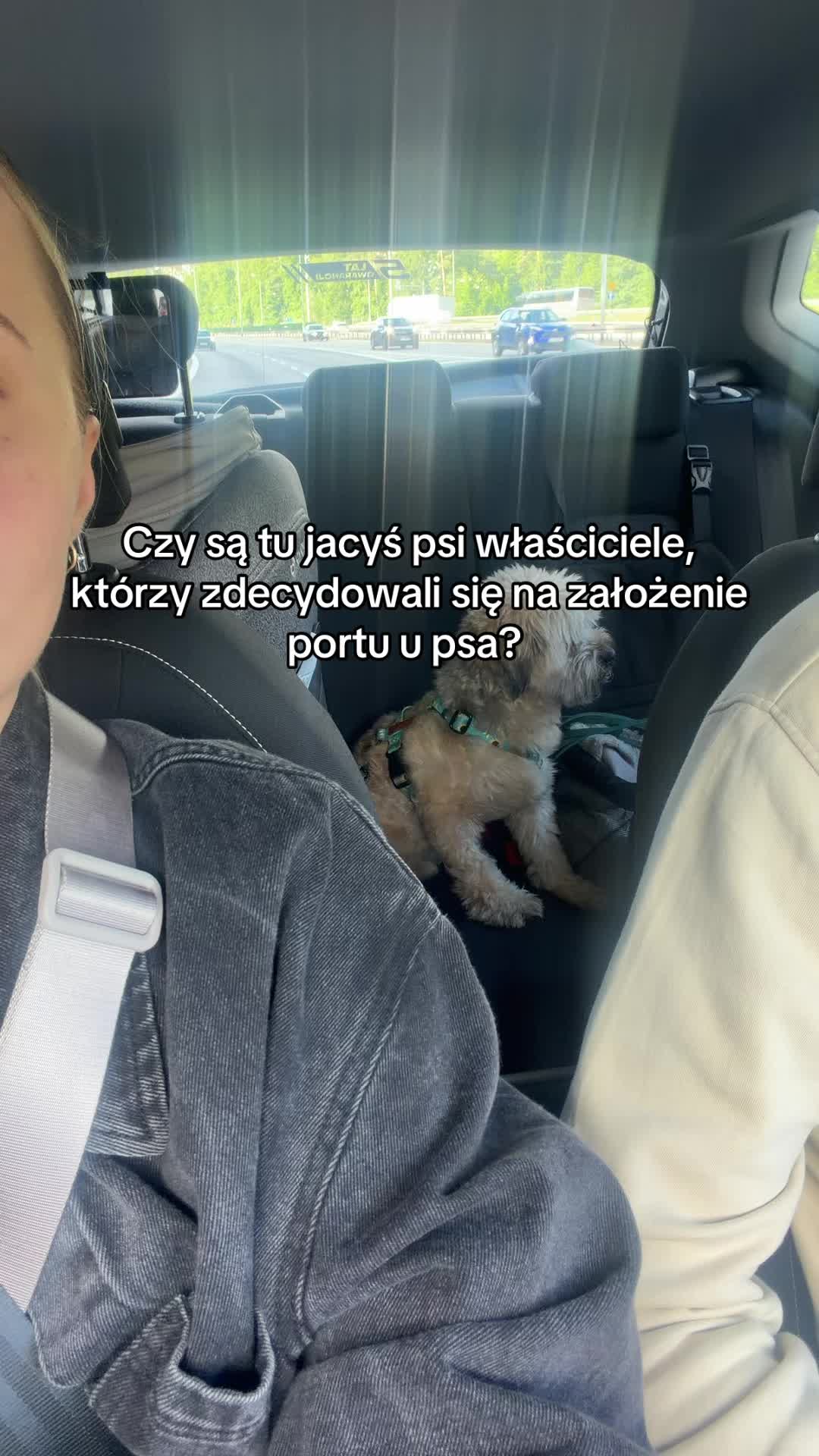 @p.brzoskowska