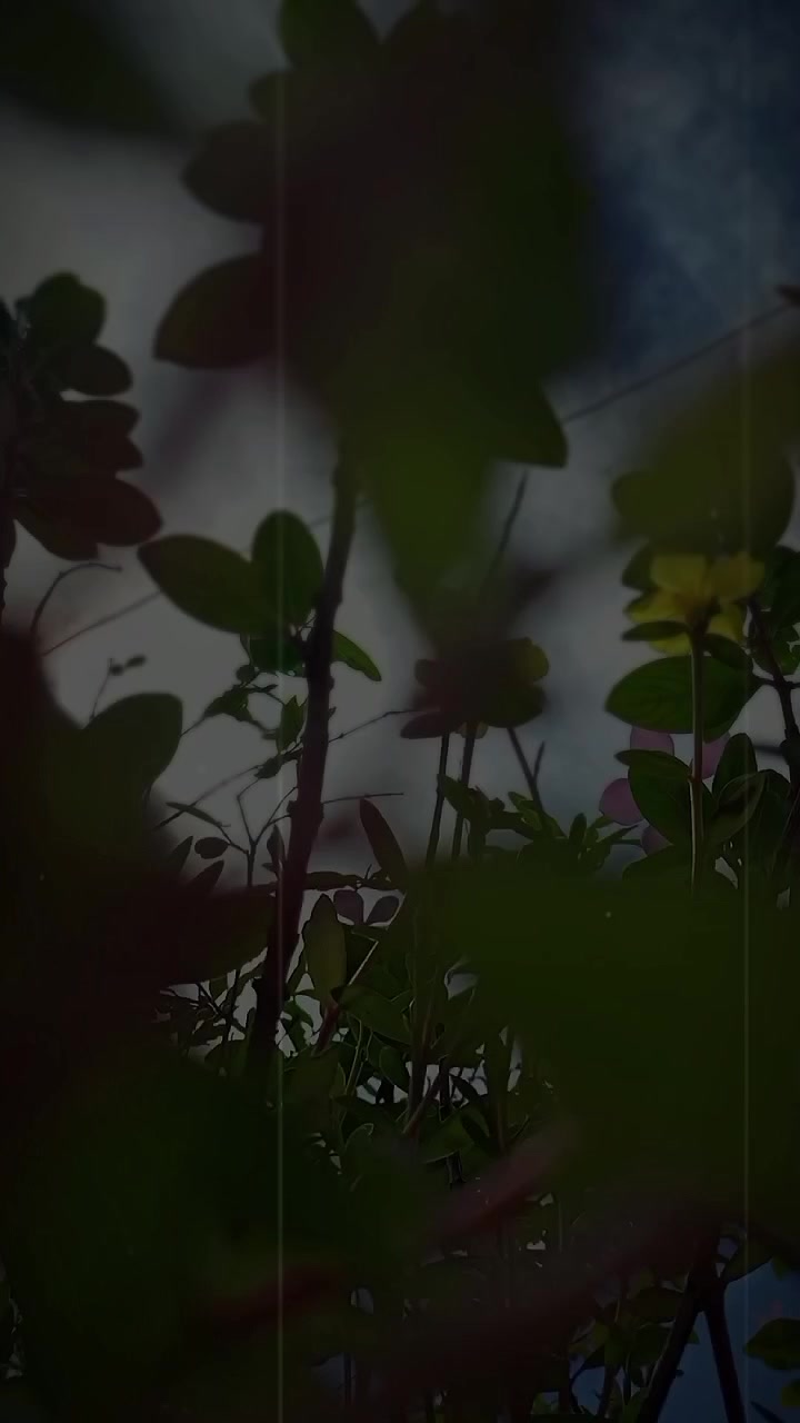 @𝐂𝐡𝐨𝐜𝐨𝐥𝐚𝐭𝐞 𝐏𝐚𝐠𝐥𝐢