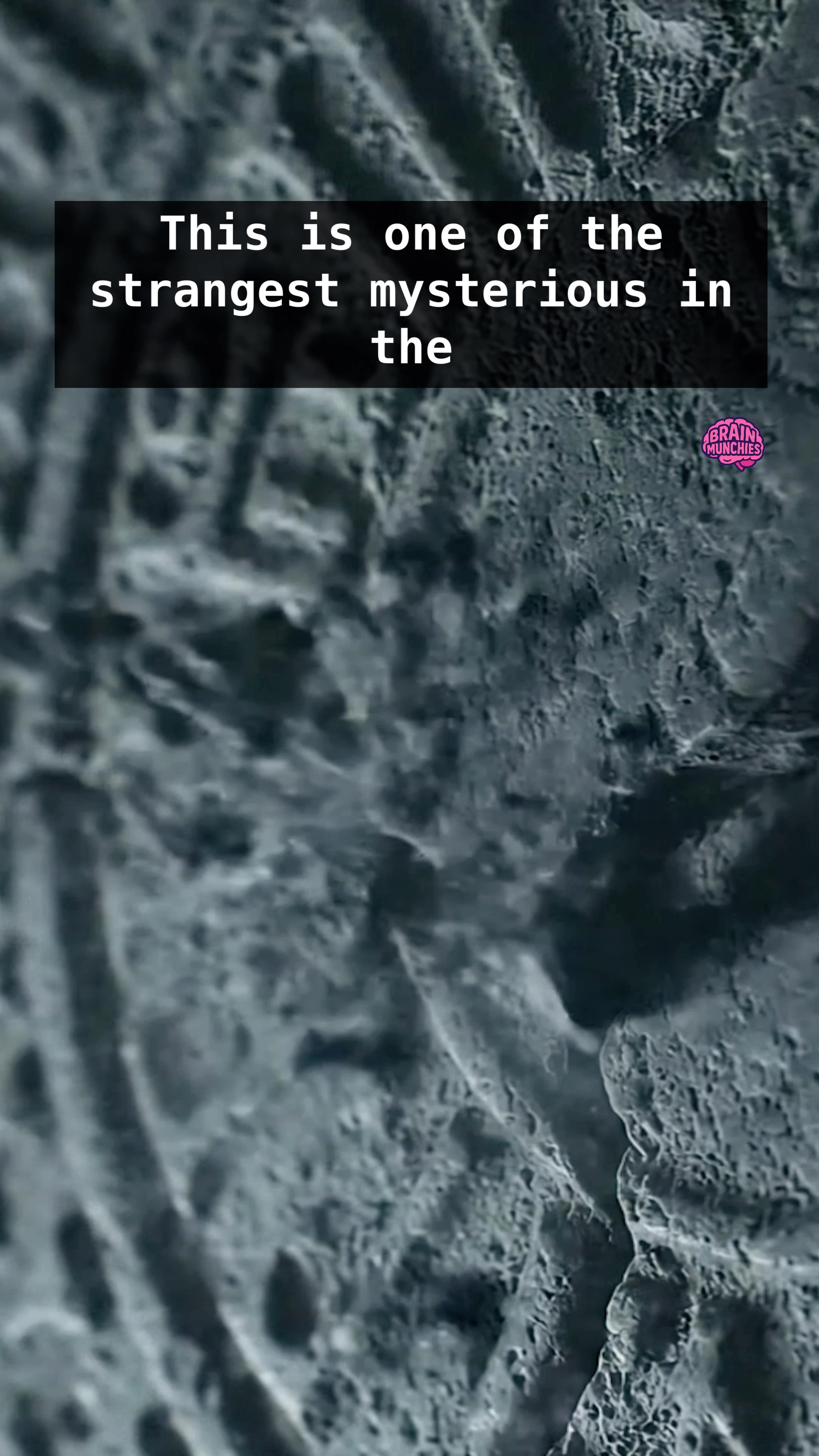 @Brain Munchies TV