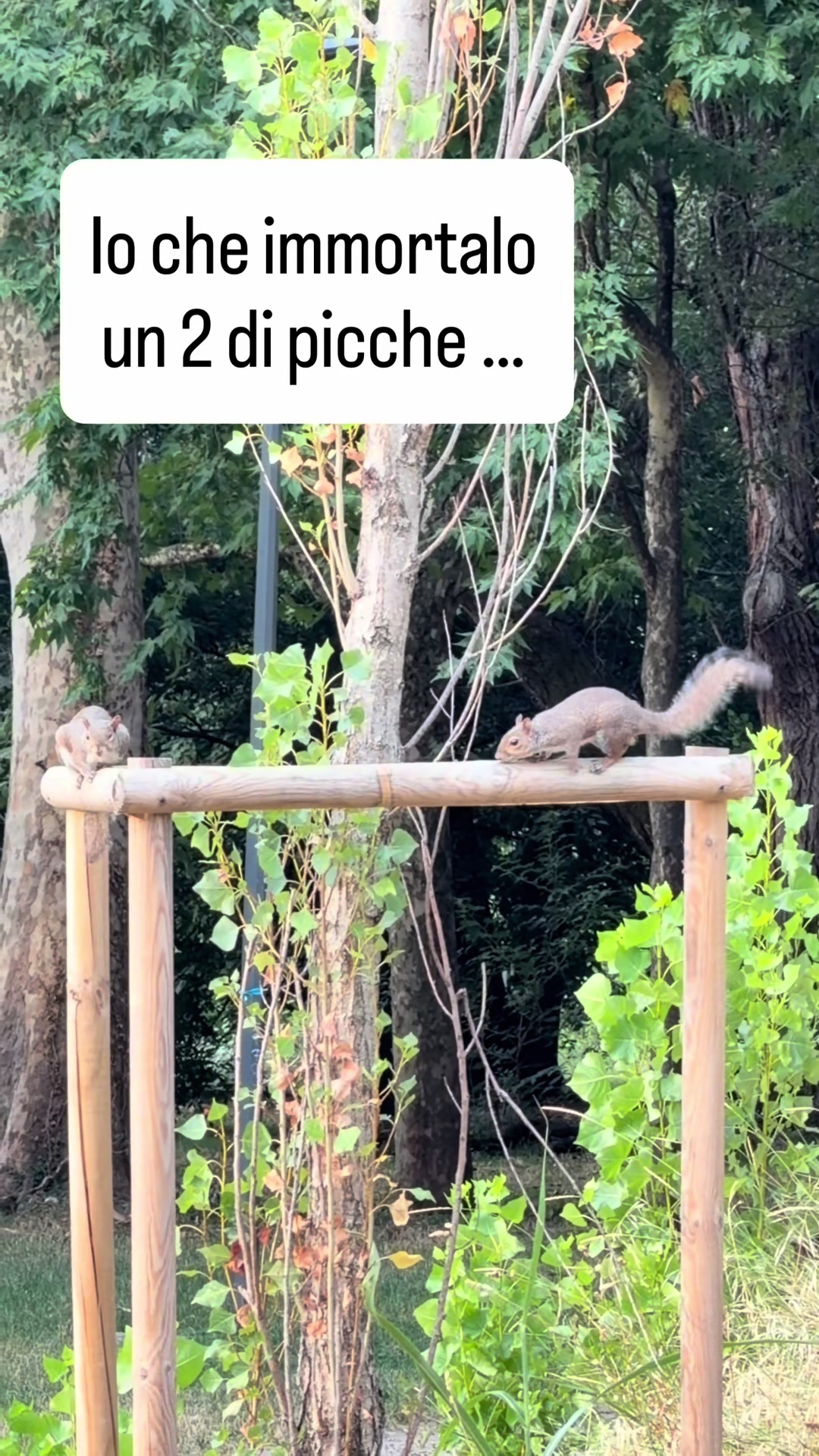 @Andrea Cherchi