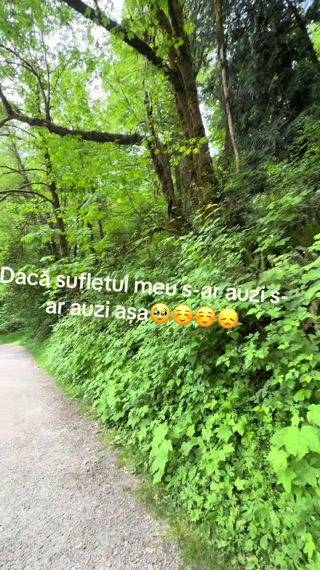 @Alina Cupceanu (Balanici)