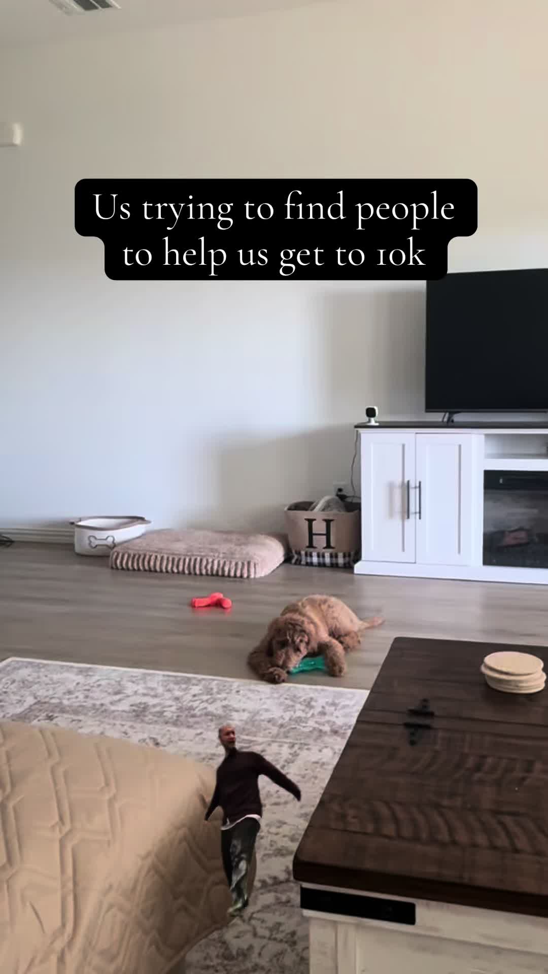 @daily.golden.goose