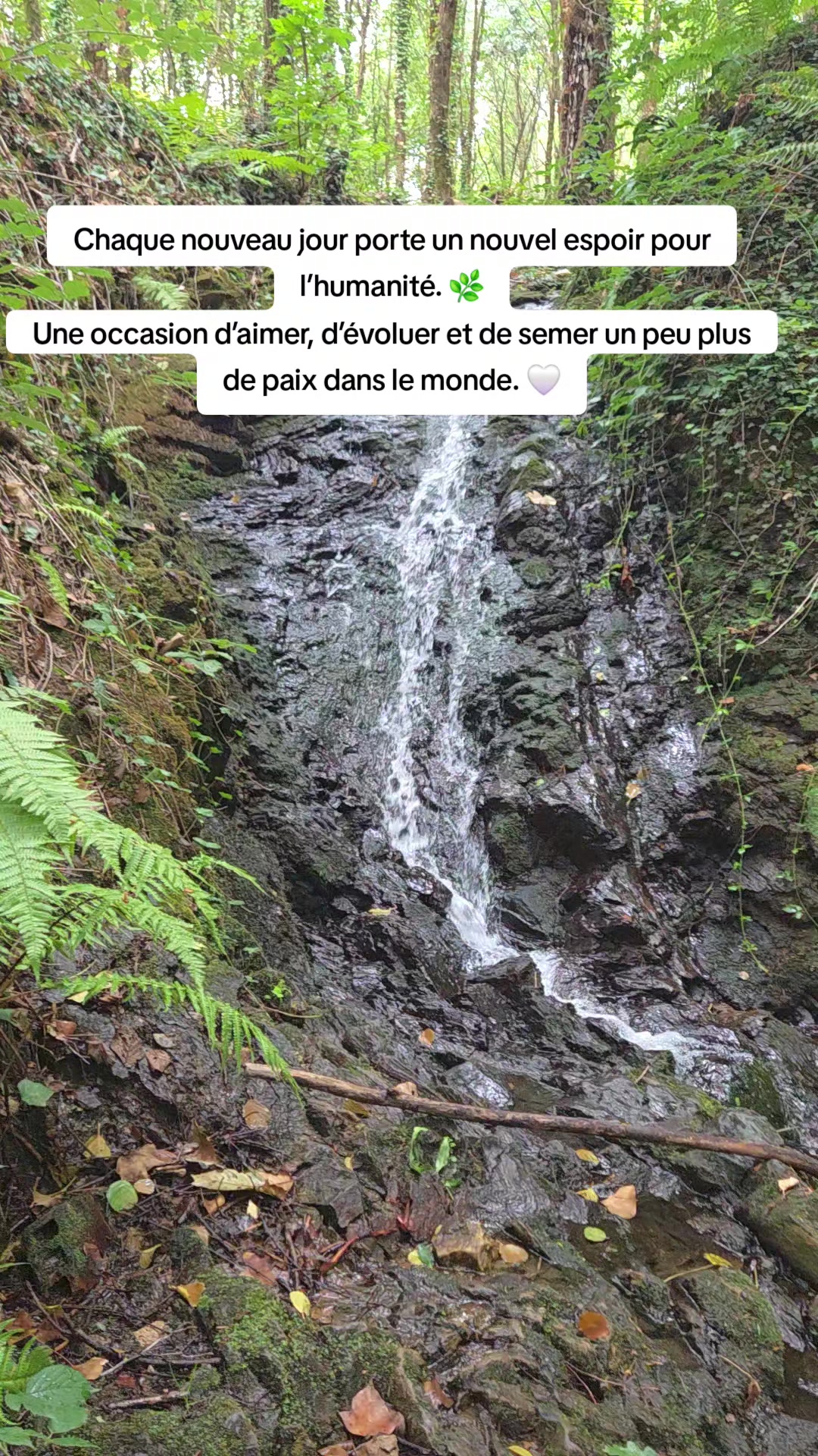 @fatiha_mellal