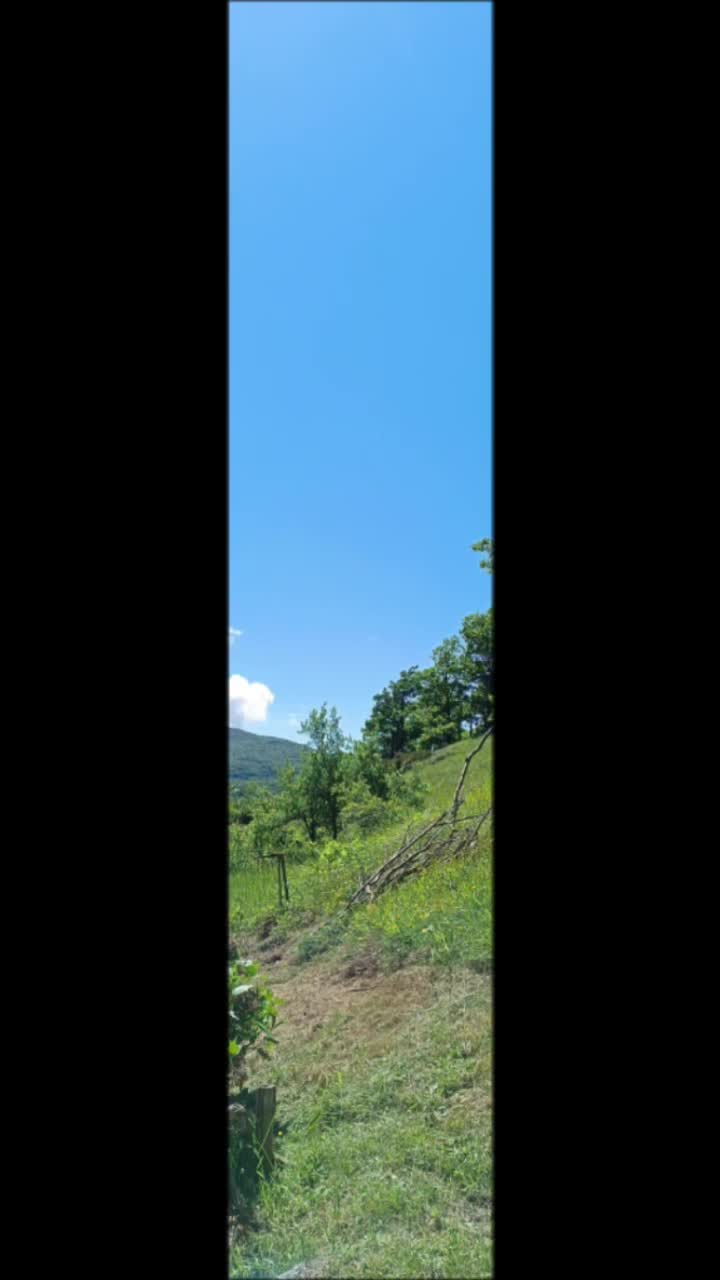 @matteogiovanelli8