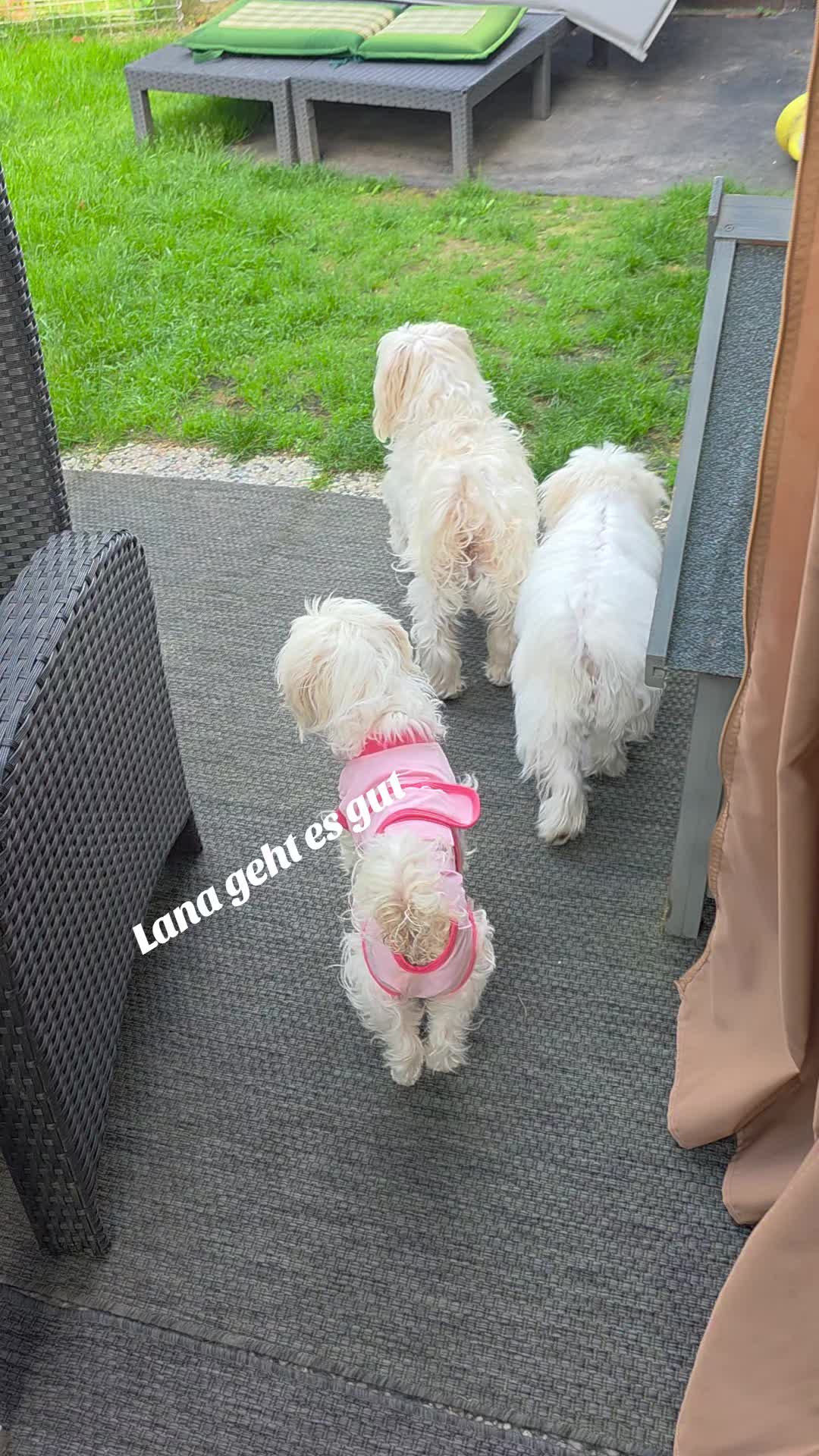 @Flöckchen