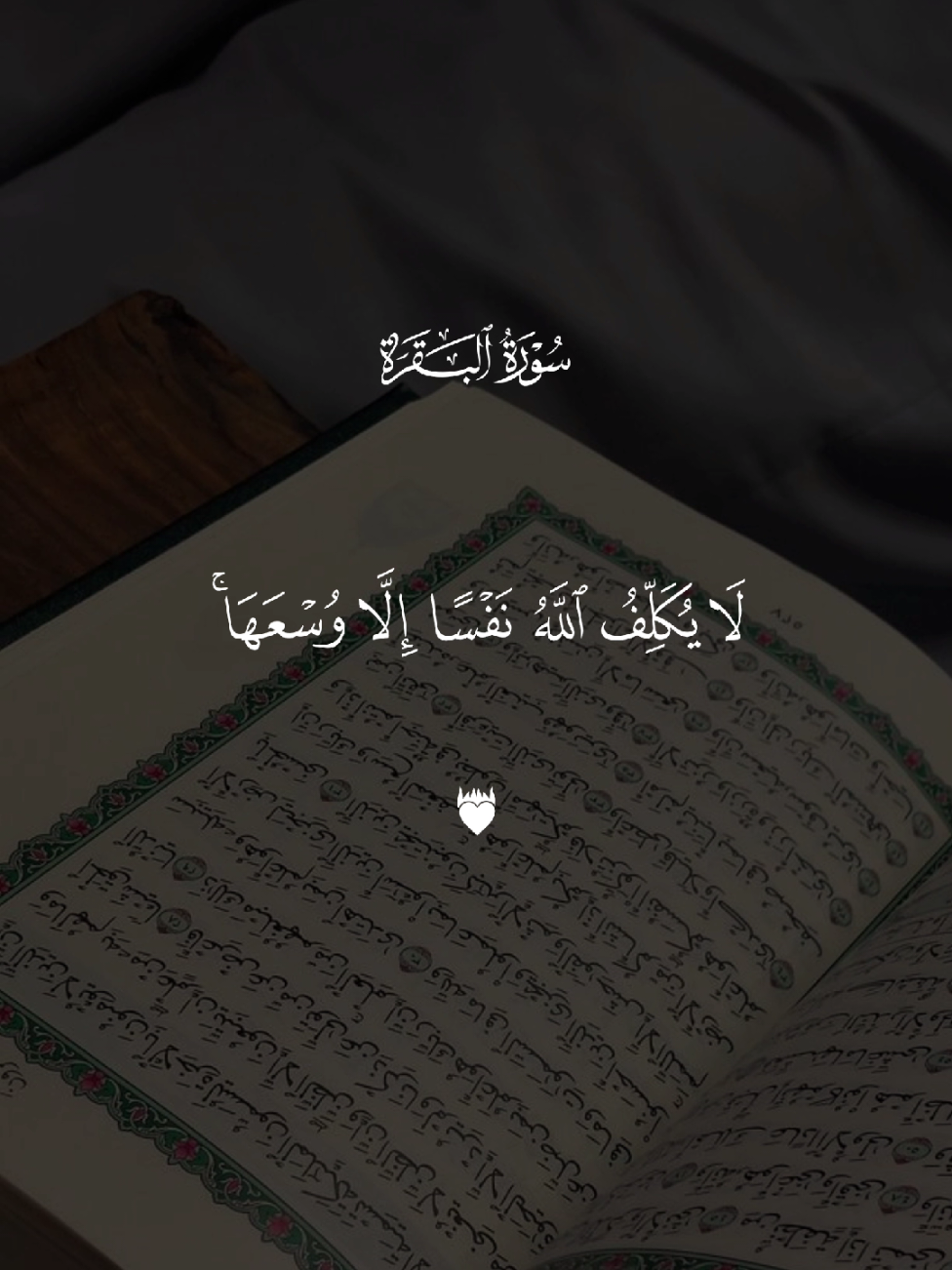 @𝚀 𝚄 𝚁 𝙰 𝙽 ✪