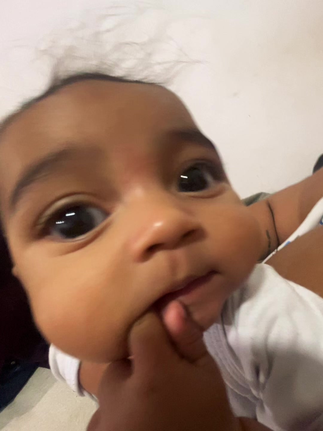 @silvinha