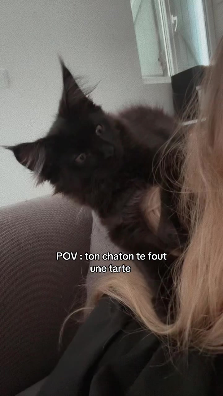 @•Emmanuelle. Éleveuse pro'•