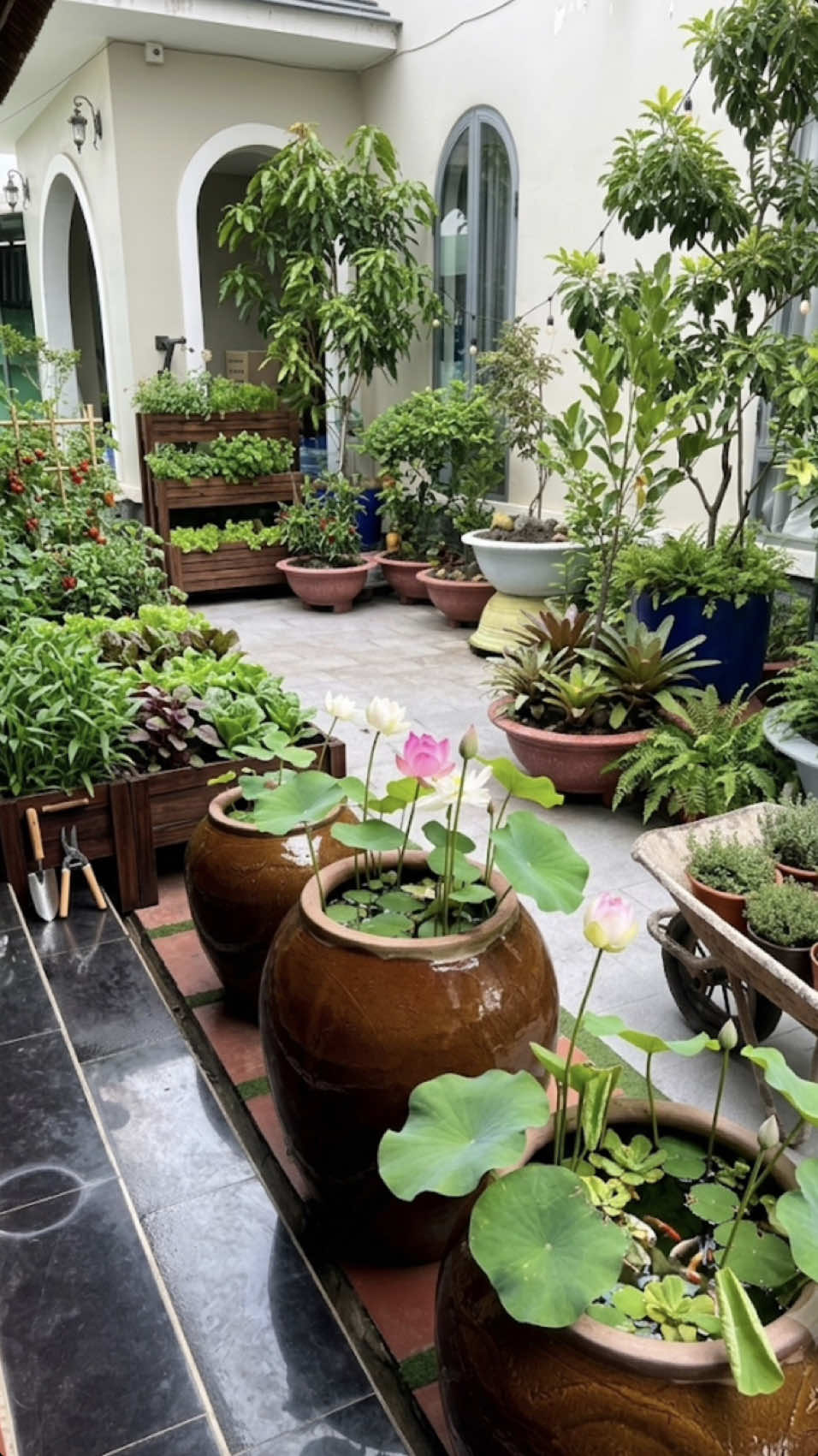 @Ngộ Đạo Trúc Viên