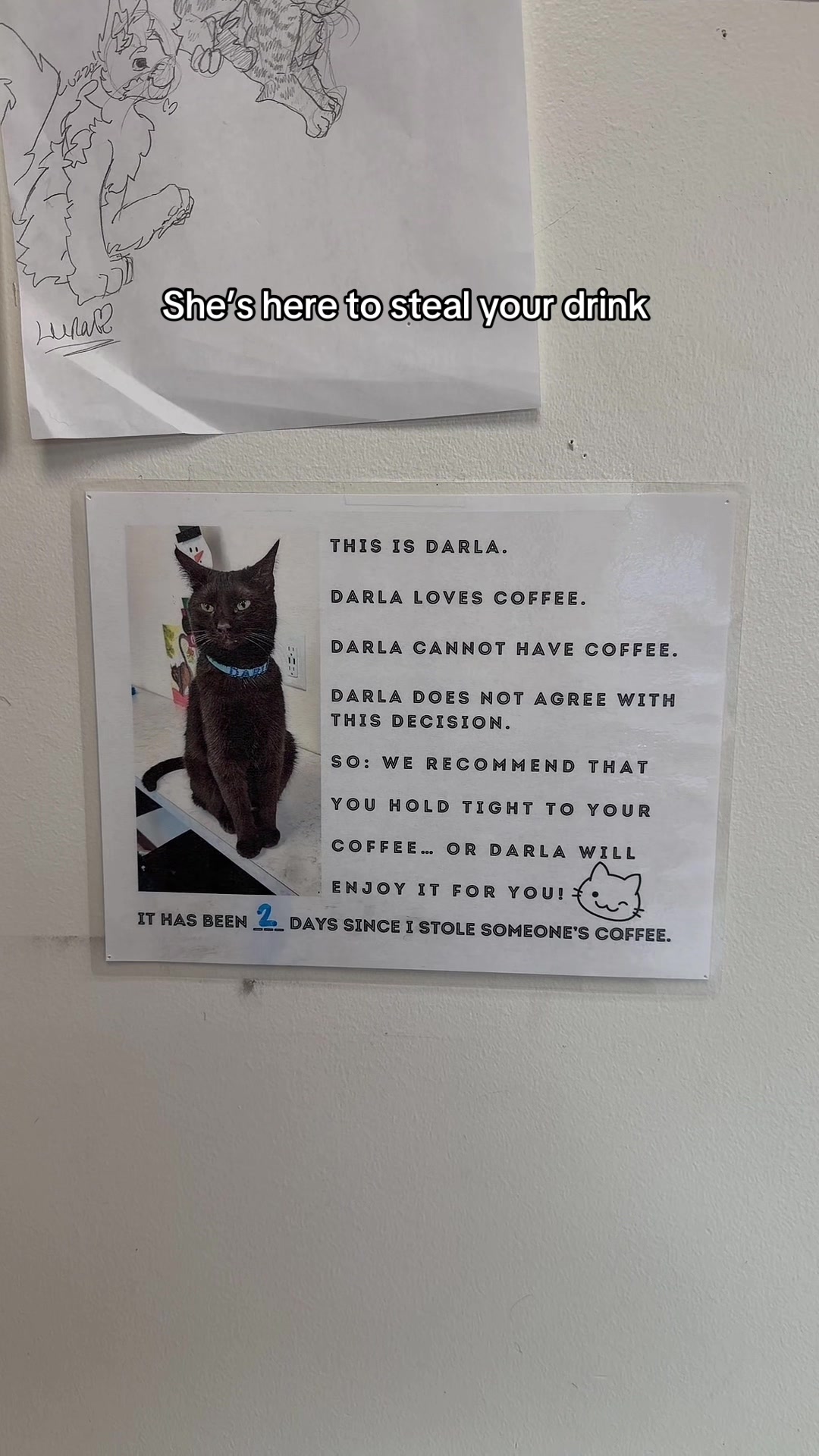 @The Cattitude Cafe