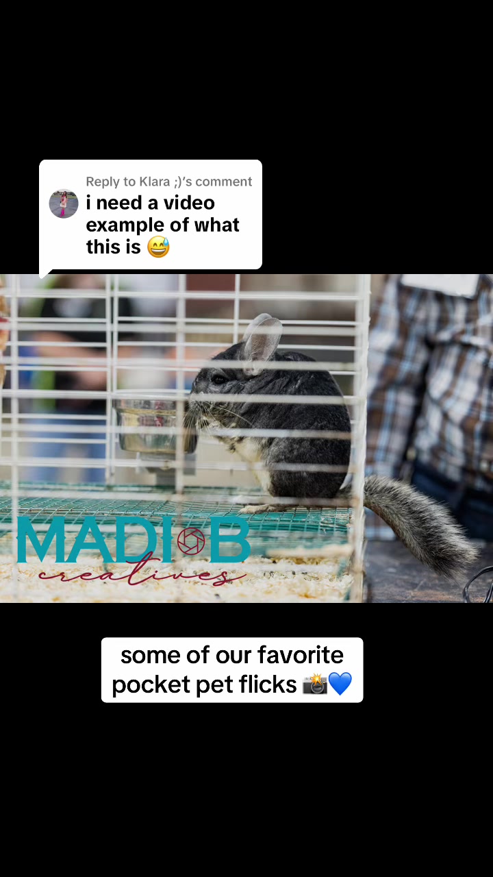 @Madi B.