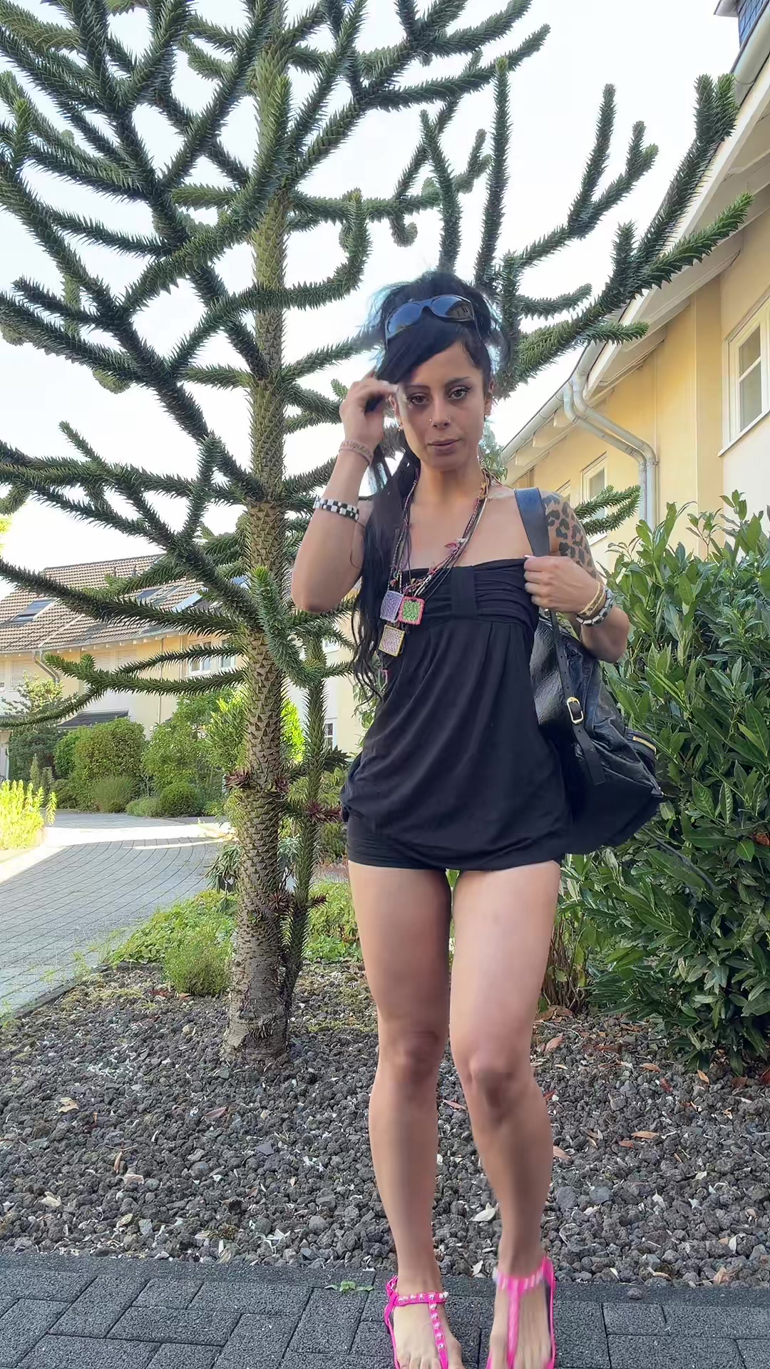 @persiankitten