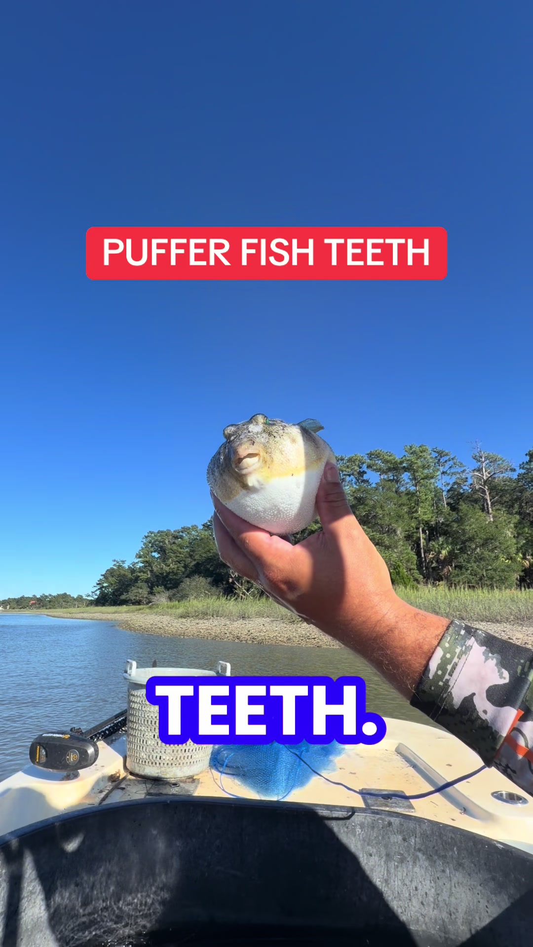@BeaufortSC_Bait