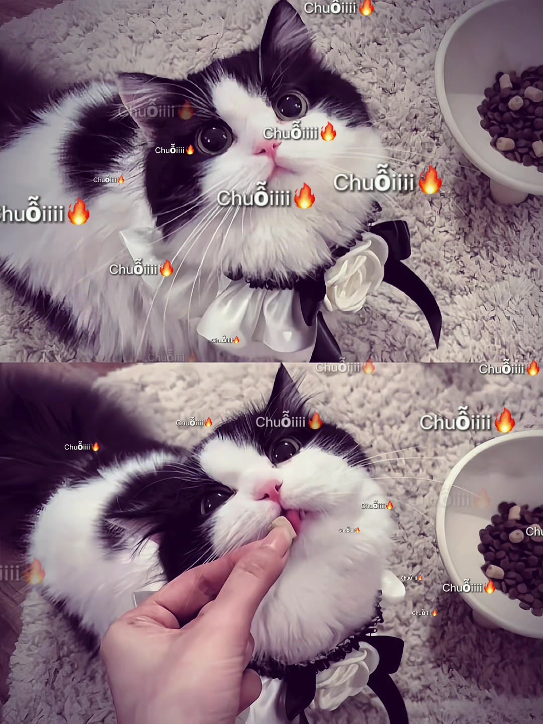 @𝓵