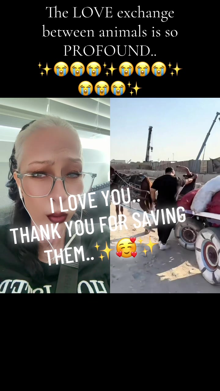@Jewel Gonzalez
