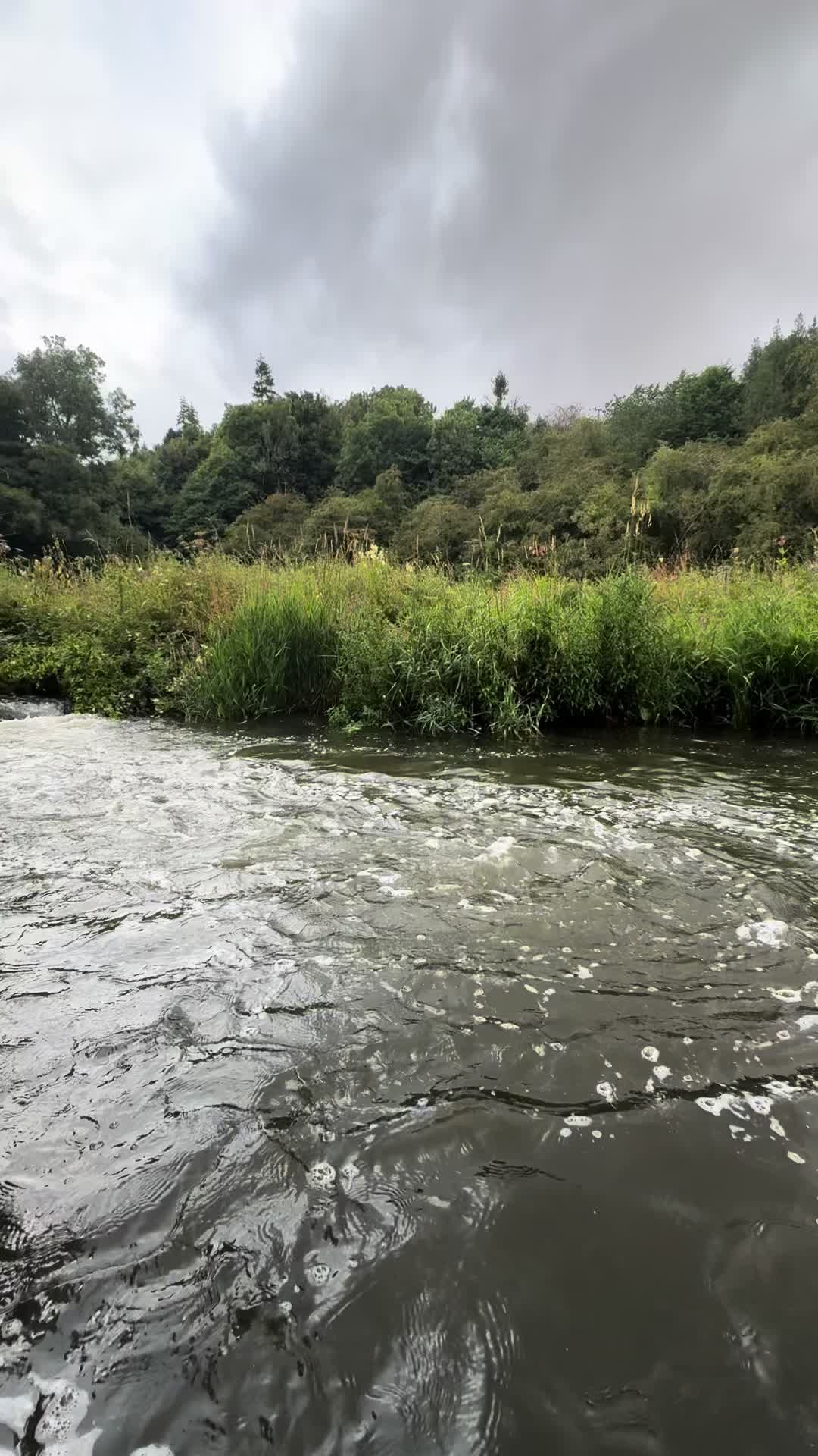 @Alba Trout 🏴