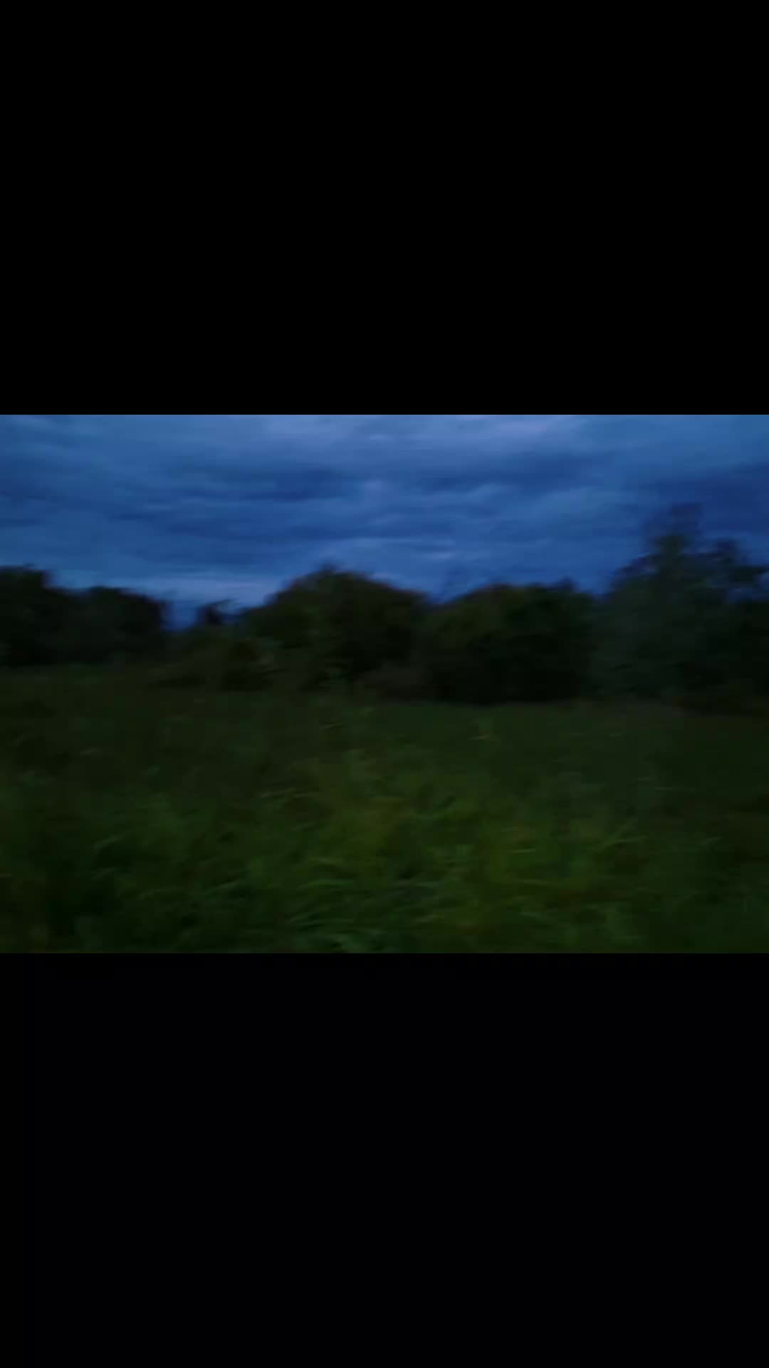 @𝘄𝗲𝗿𝘂𝗹𝗮𝘀𝗲𝗻