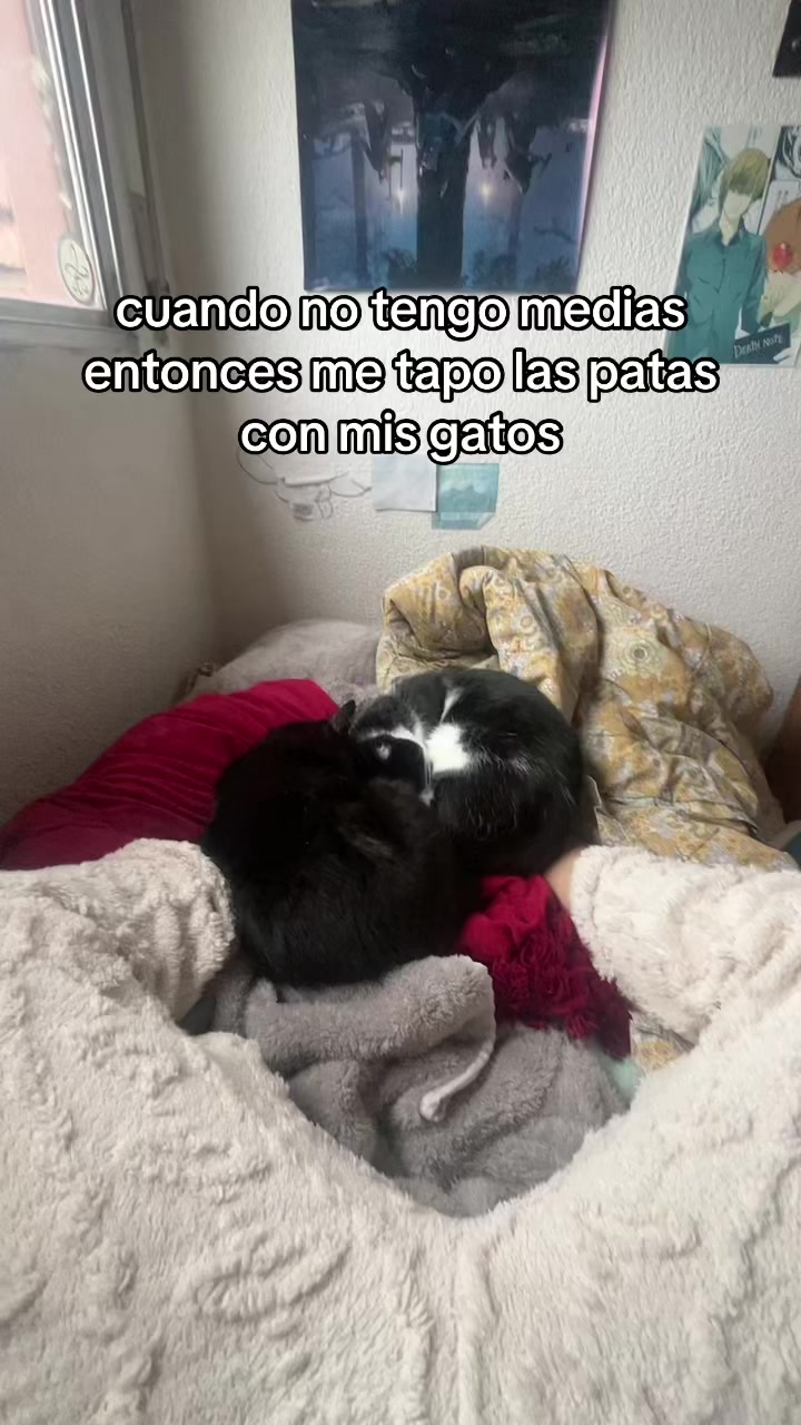 @𝖌 ࣪˖ ִֶཐི༏ཋྀ