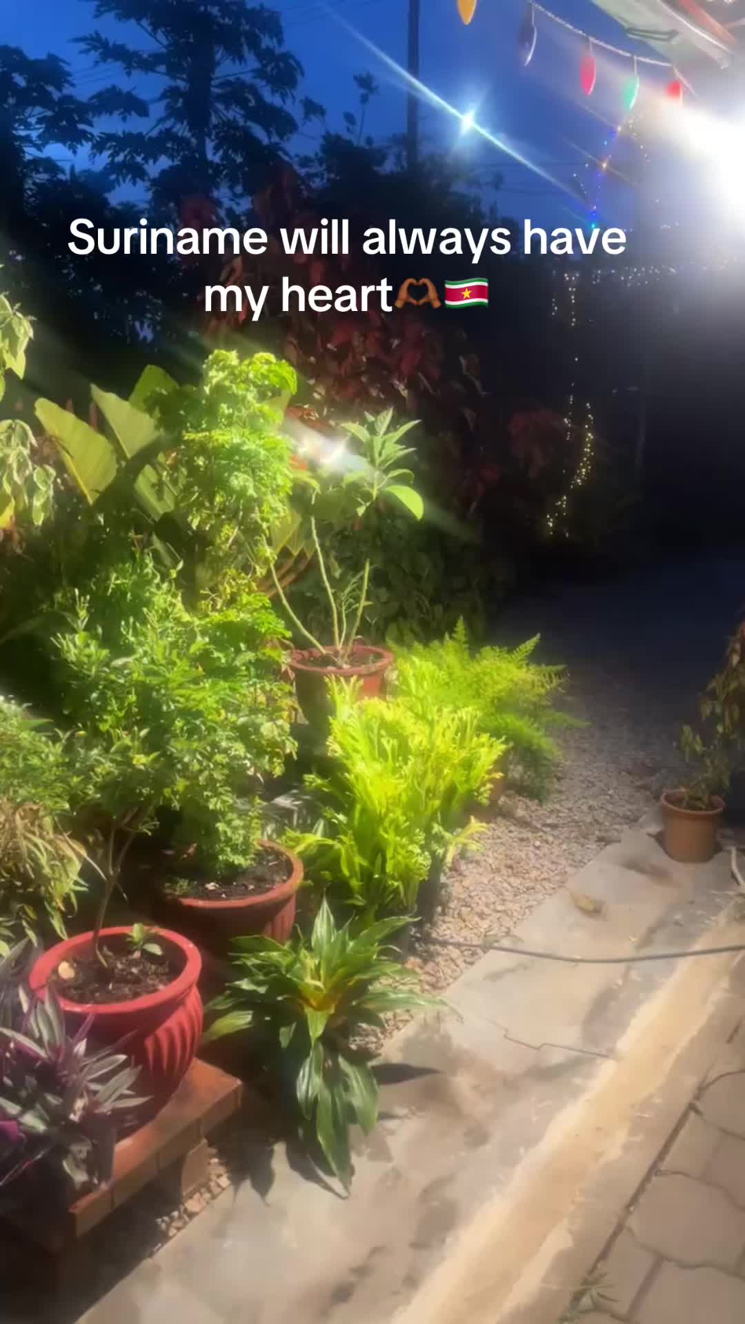 @Shawtydoomie🇸🇷