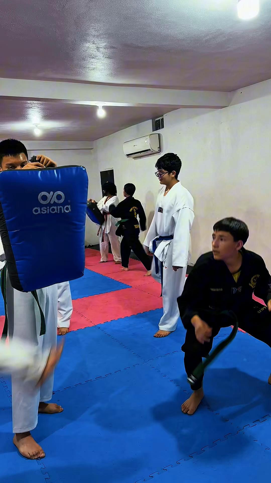 @taekwondolionsteam