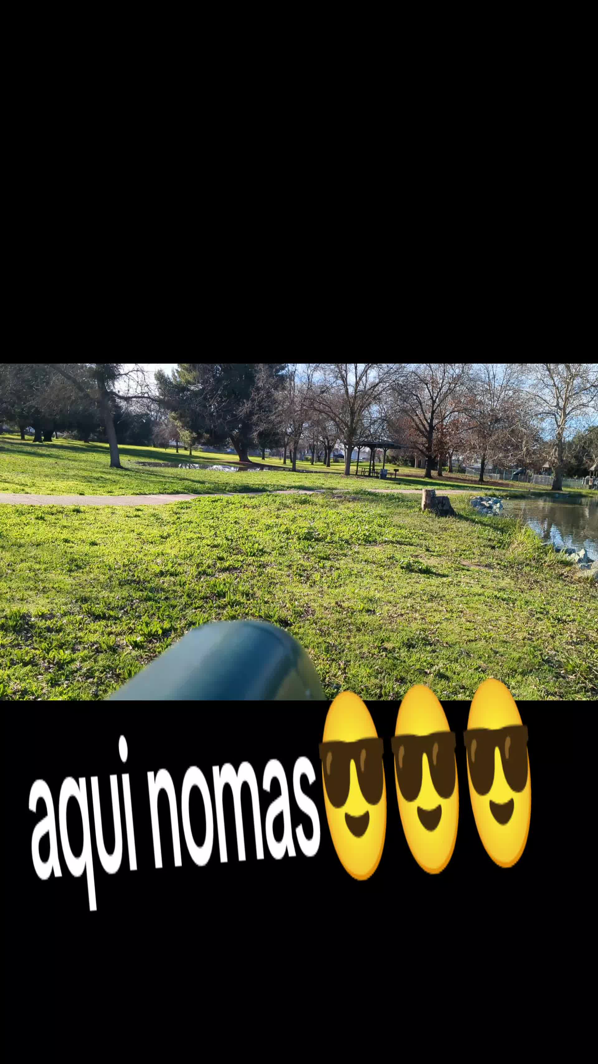 @siemprerolando2