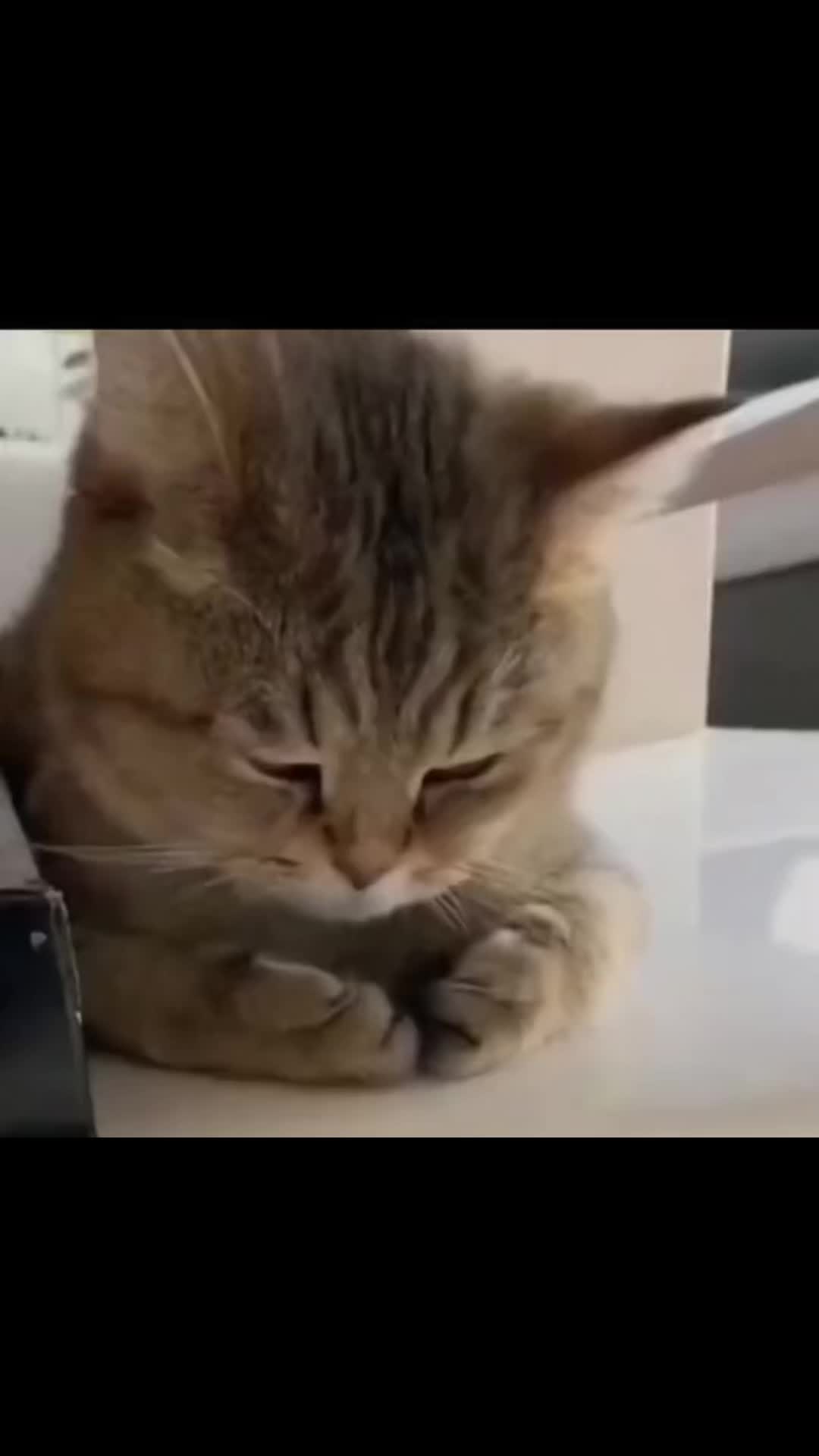 @๐๐พ๐๐๐พ๐๐บ๐๐ฟ๐๐๐๐ป๐