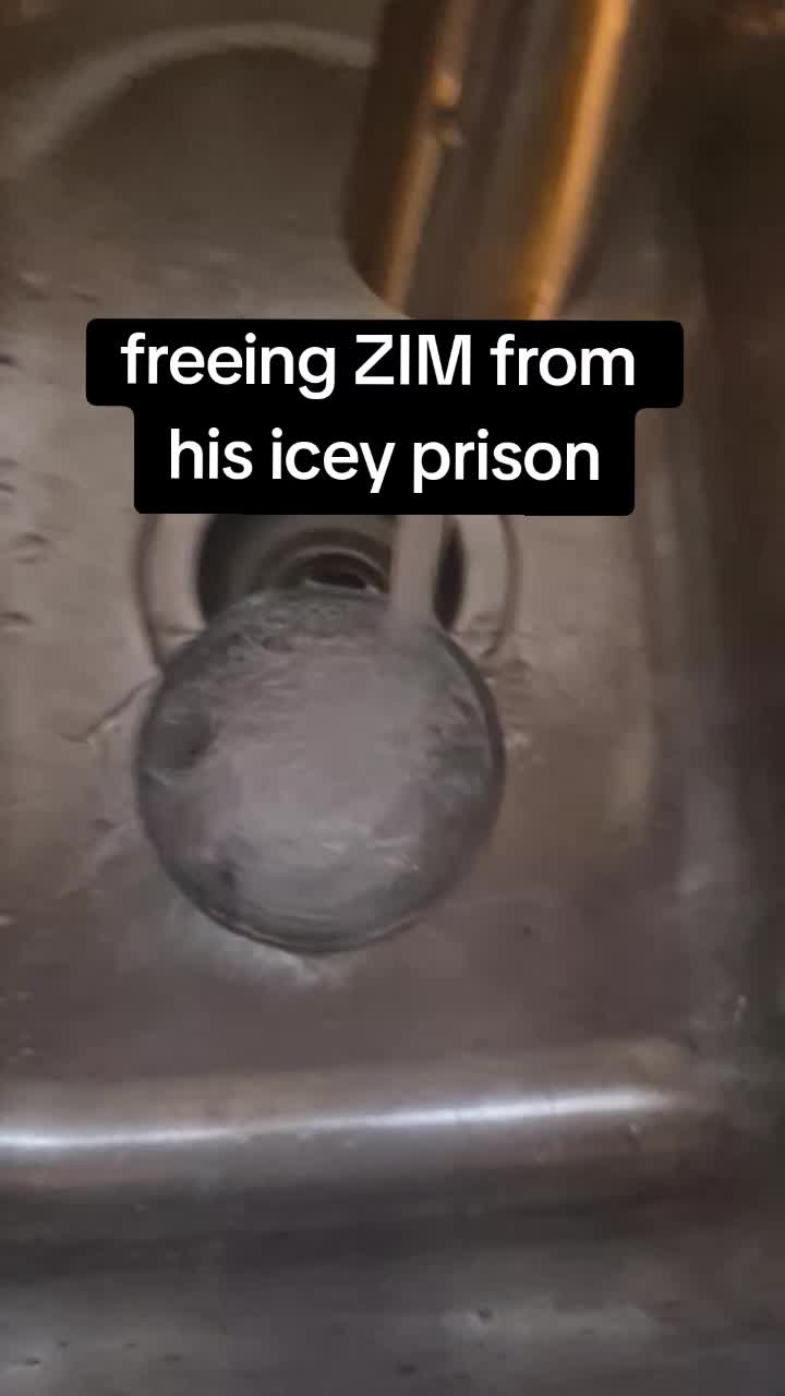 @IRKEN_MENACE