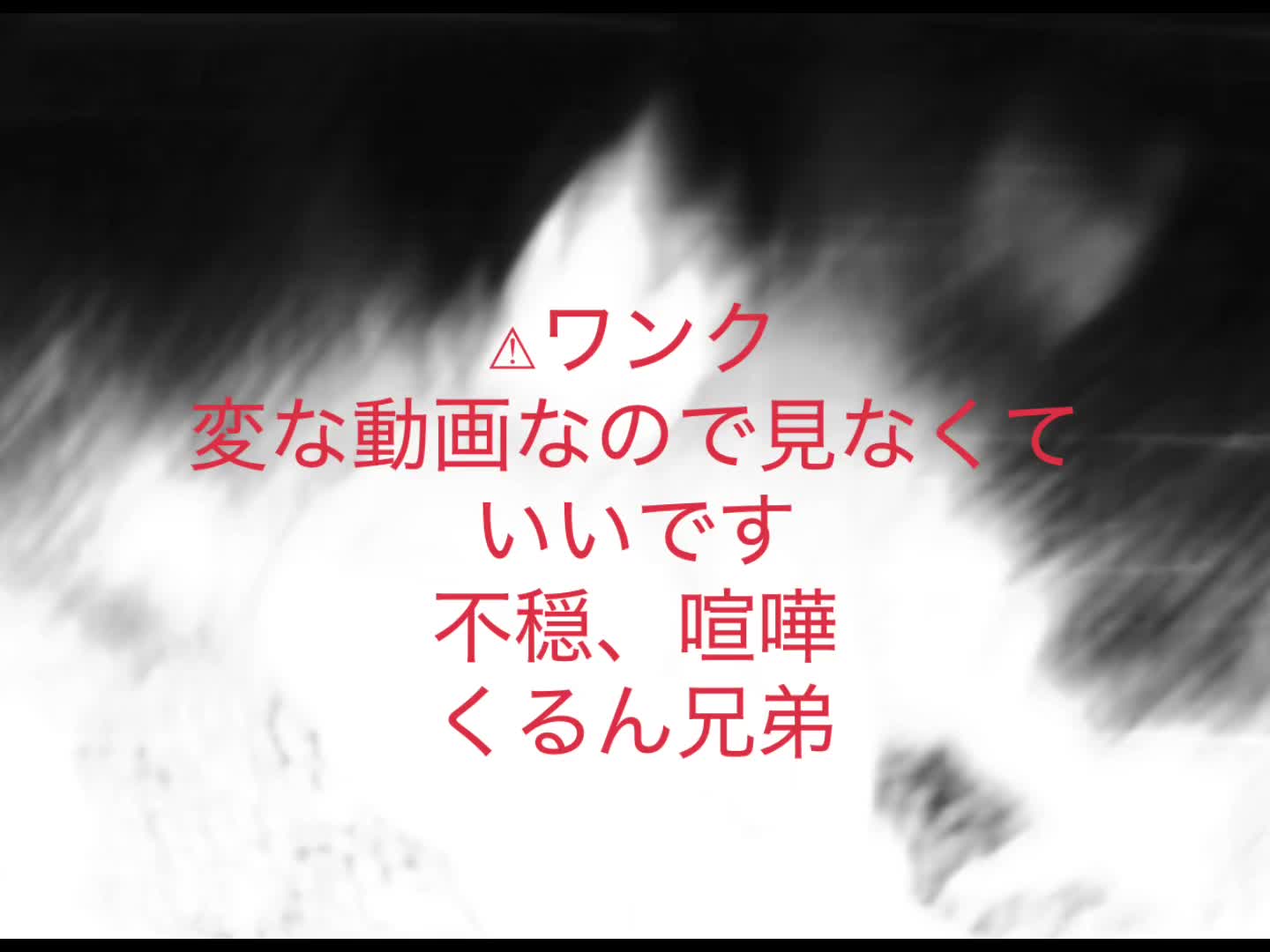 @るん♪
