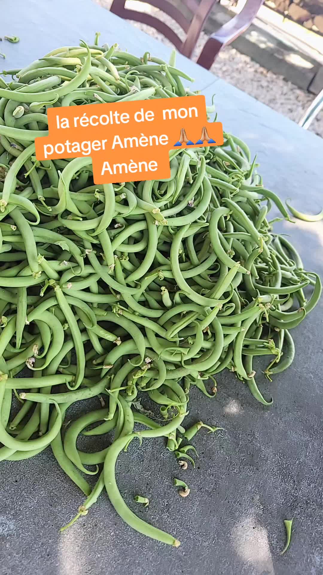 @Bertille la sage