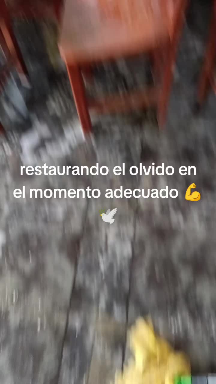 @Vero Jimenez Ferrer