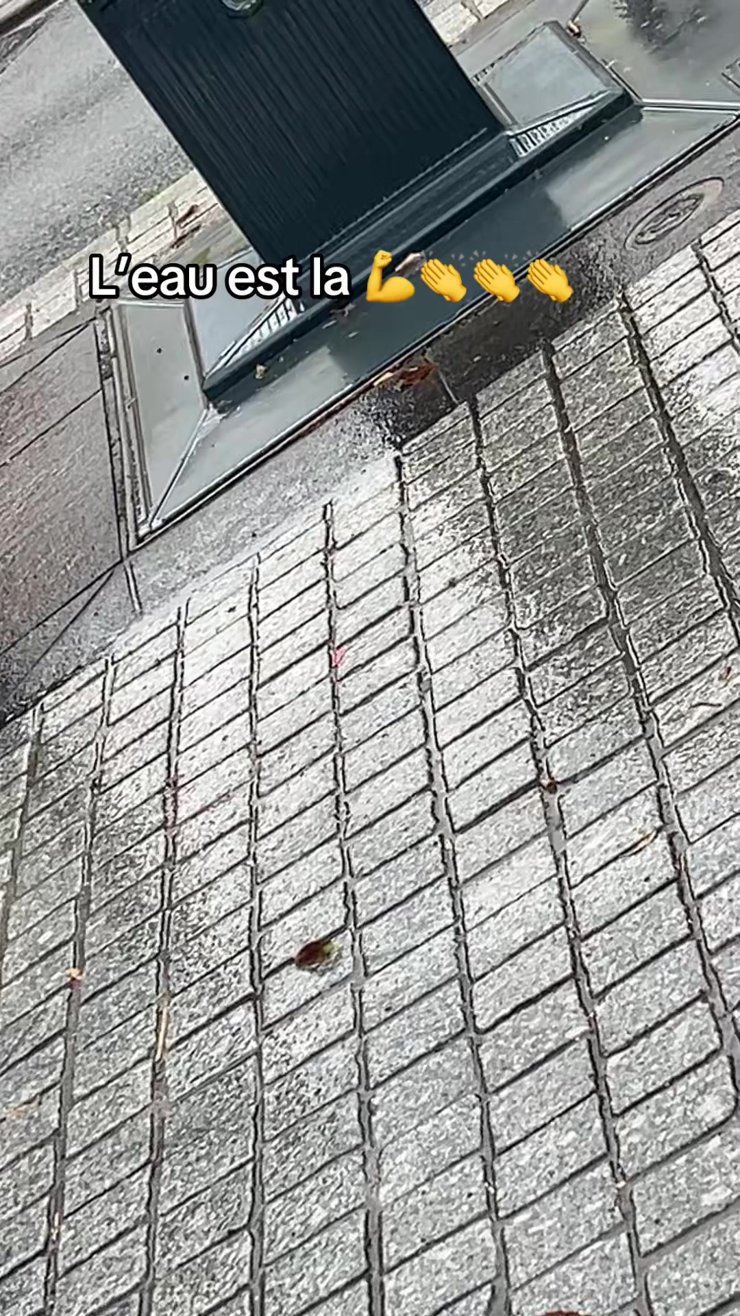 @brunomt63