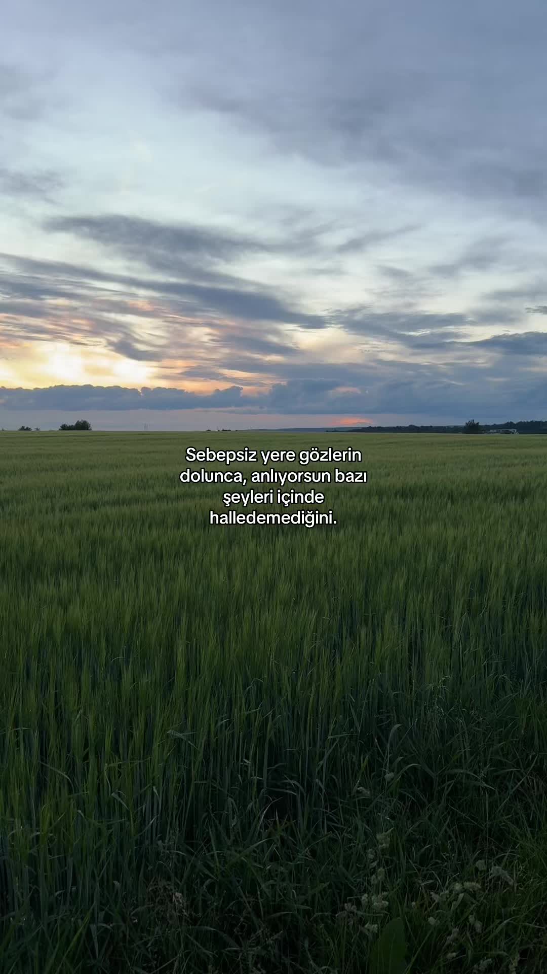 @reminder