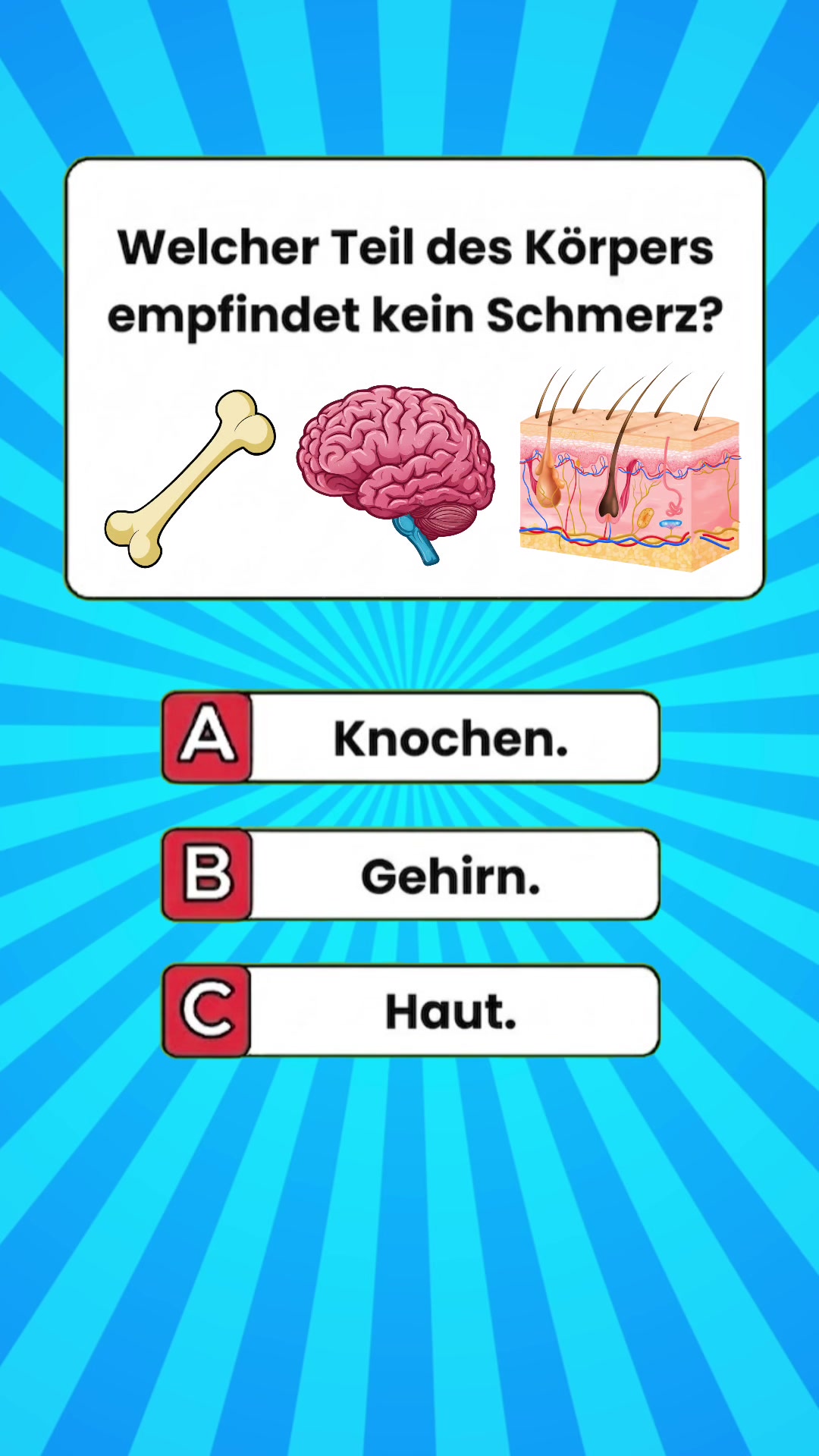 @DailyQuizMaster