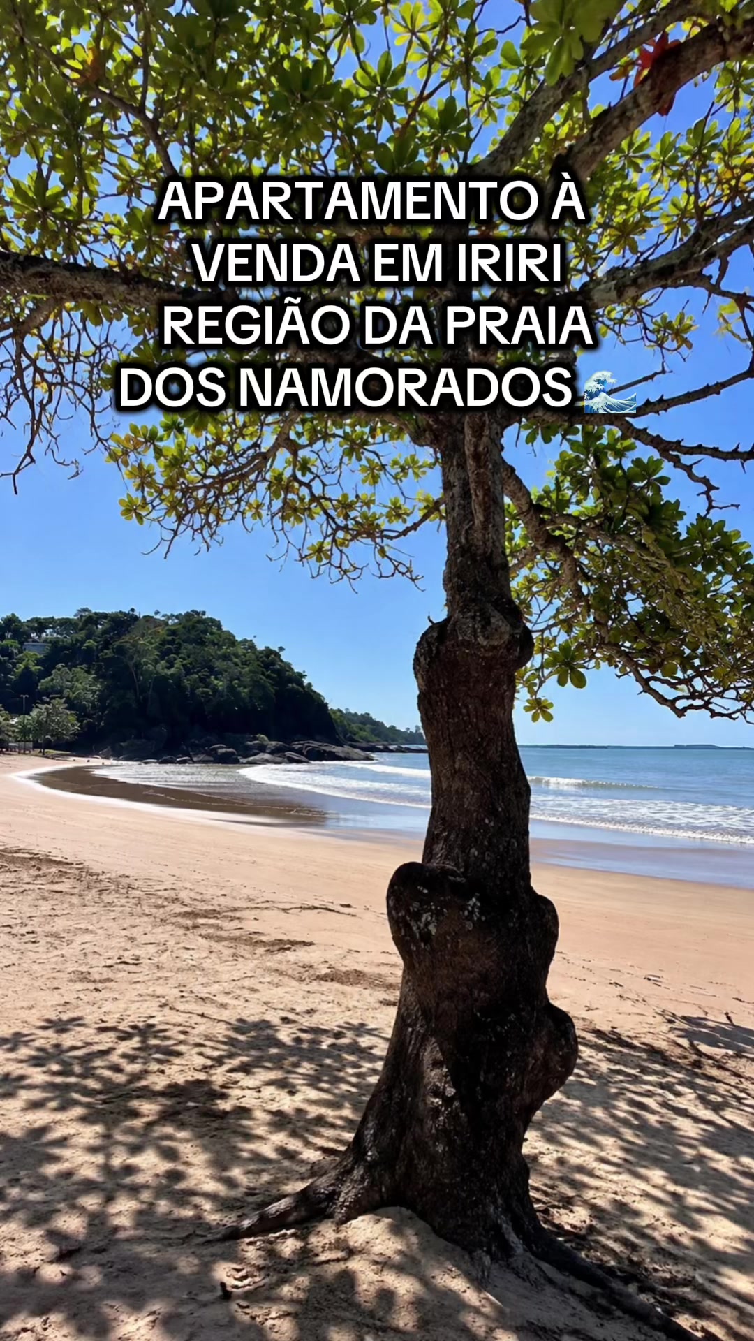 @M&ocirc;nica Nascimento