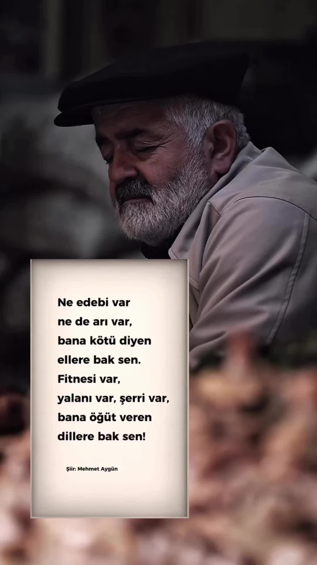 @Mehmet Aygün