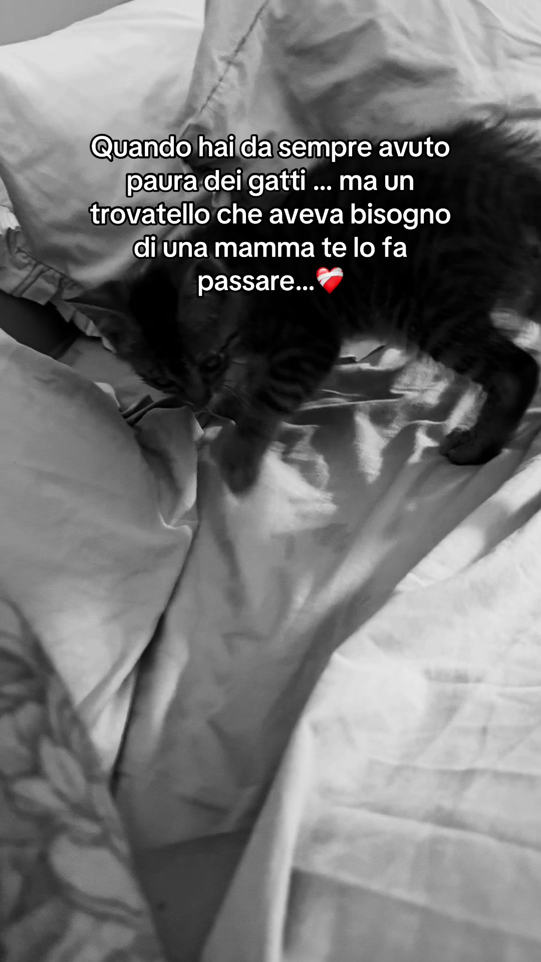 @SaraIacobino02